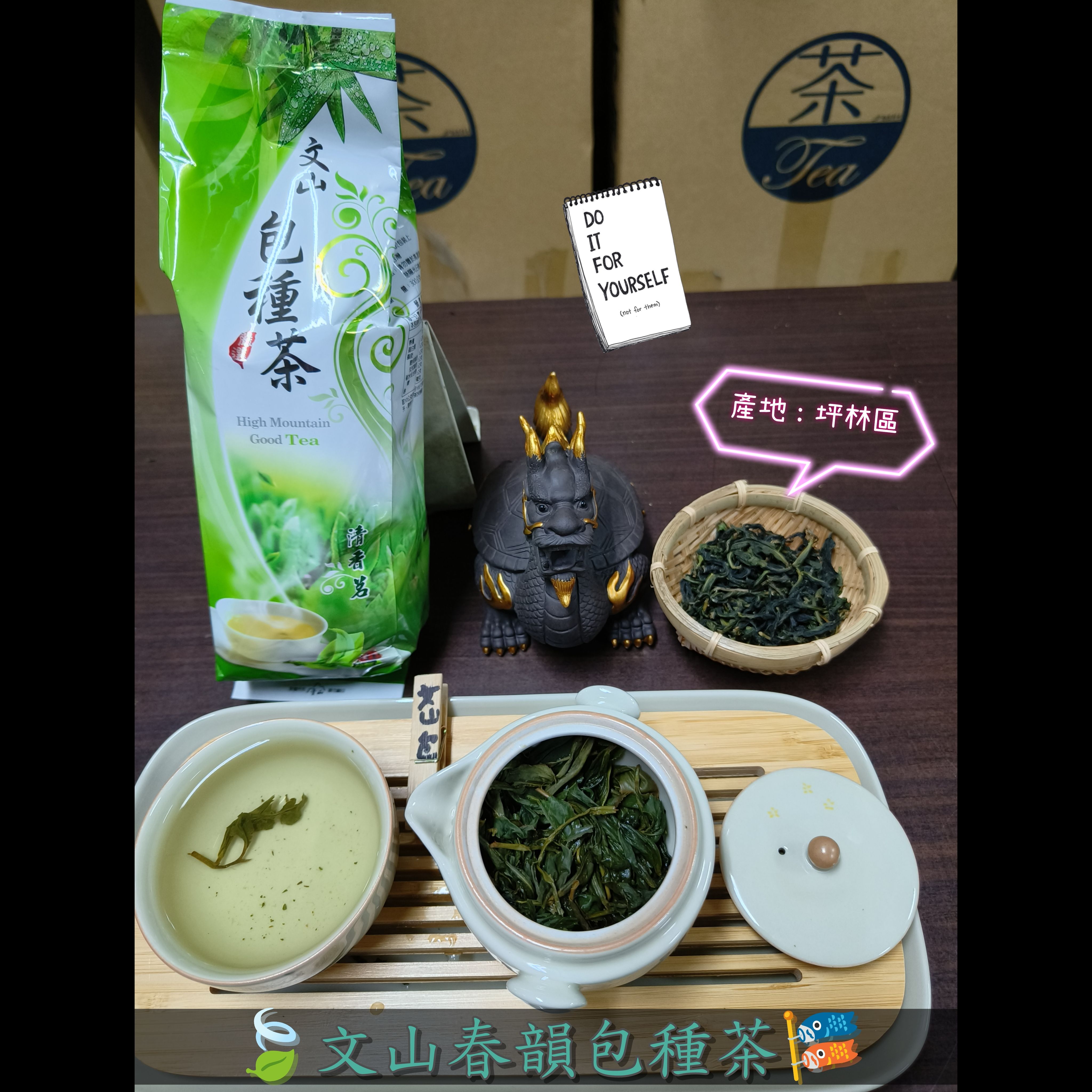 2024🌱【文山春韻包種茶】🔥產地: 坪林區 （輕發酵） 四月上旬製成