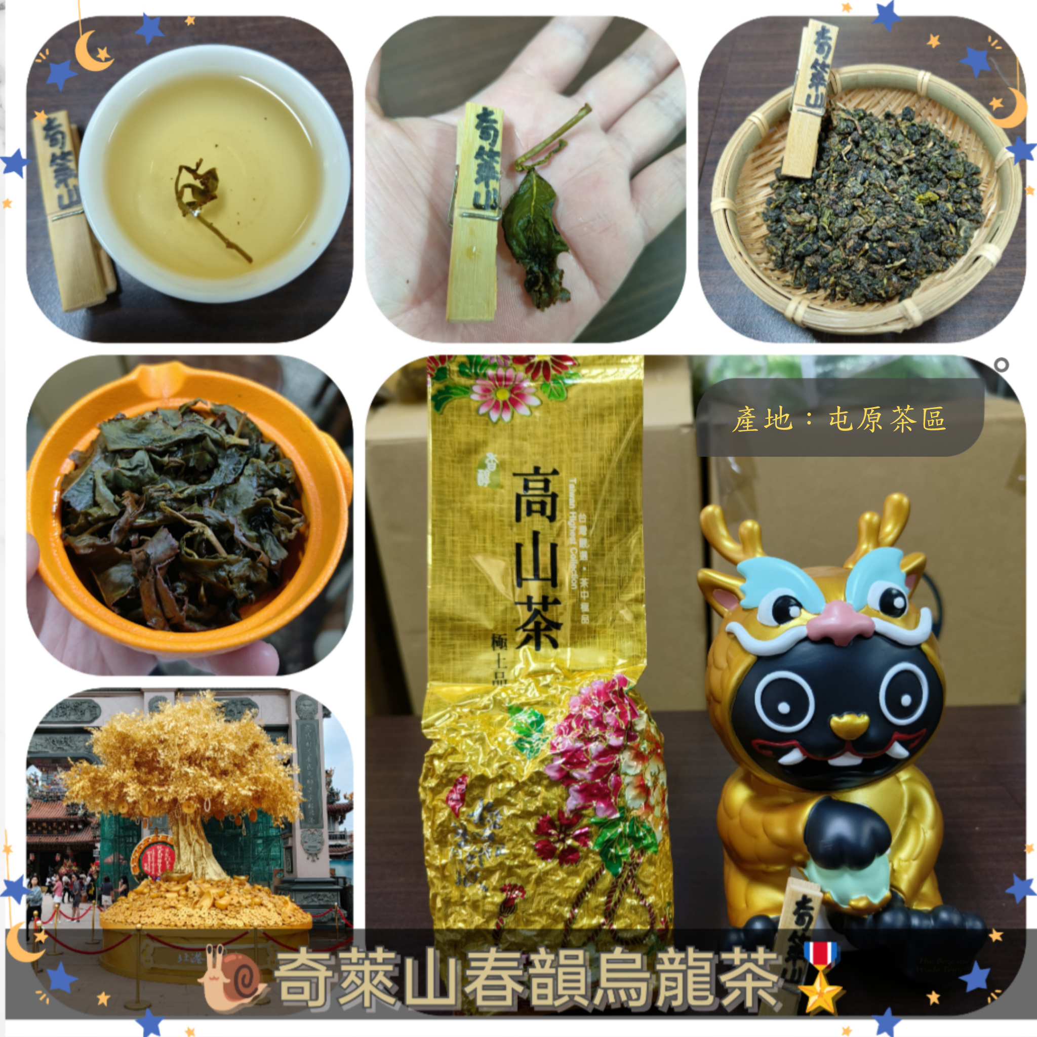 2024 🐡【奇萊山春韻烏龍茶】🍃產地: 屯原部落 🏵️厚實甘醇型口感