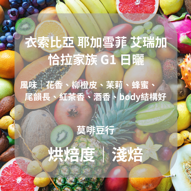 【淺焙】衣索比亞 耶加 艾瑞嘉 恰拉家族 G1 日曬 l 225克