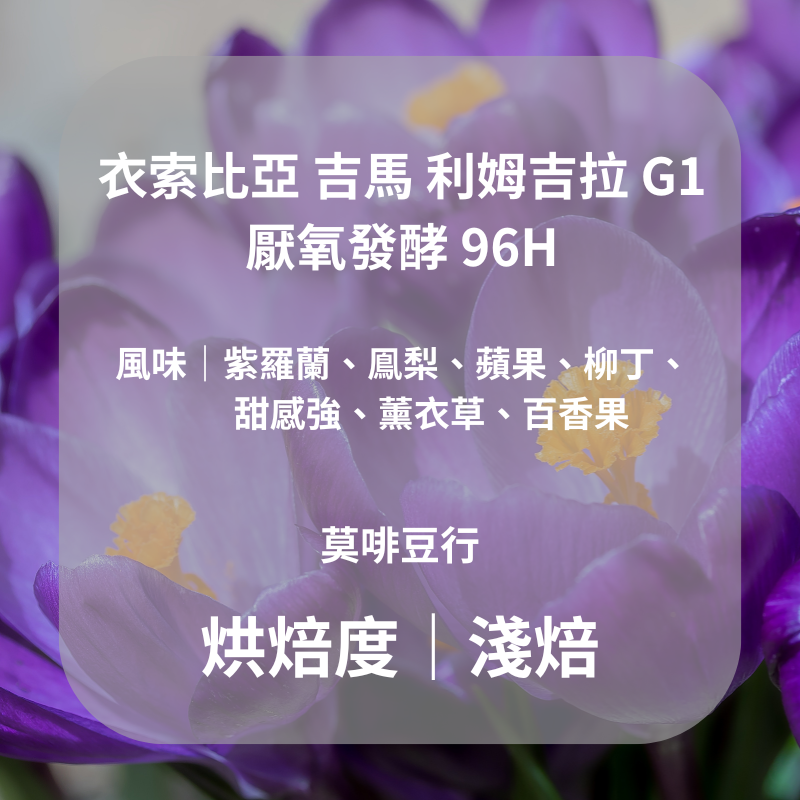 【淺焙】衣索比亞 吉馬 利姆吉拉 G1 厭氧發酵 96H l 225克