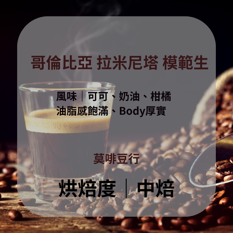 【中焙】哥倫比亞 拉米尼塔 模範生 l 225克