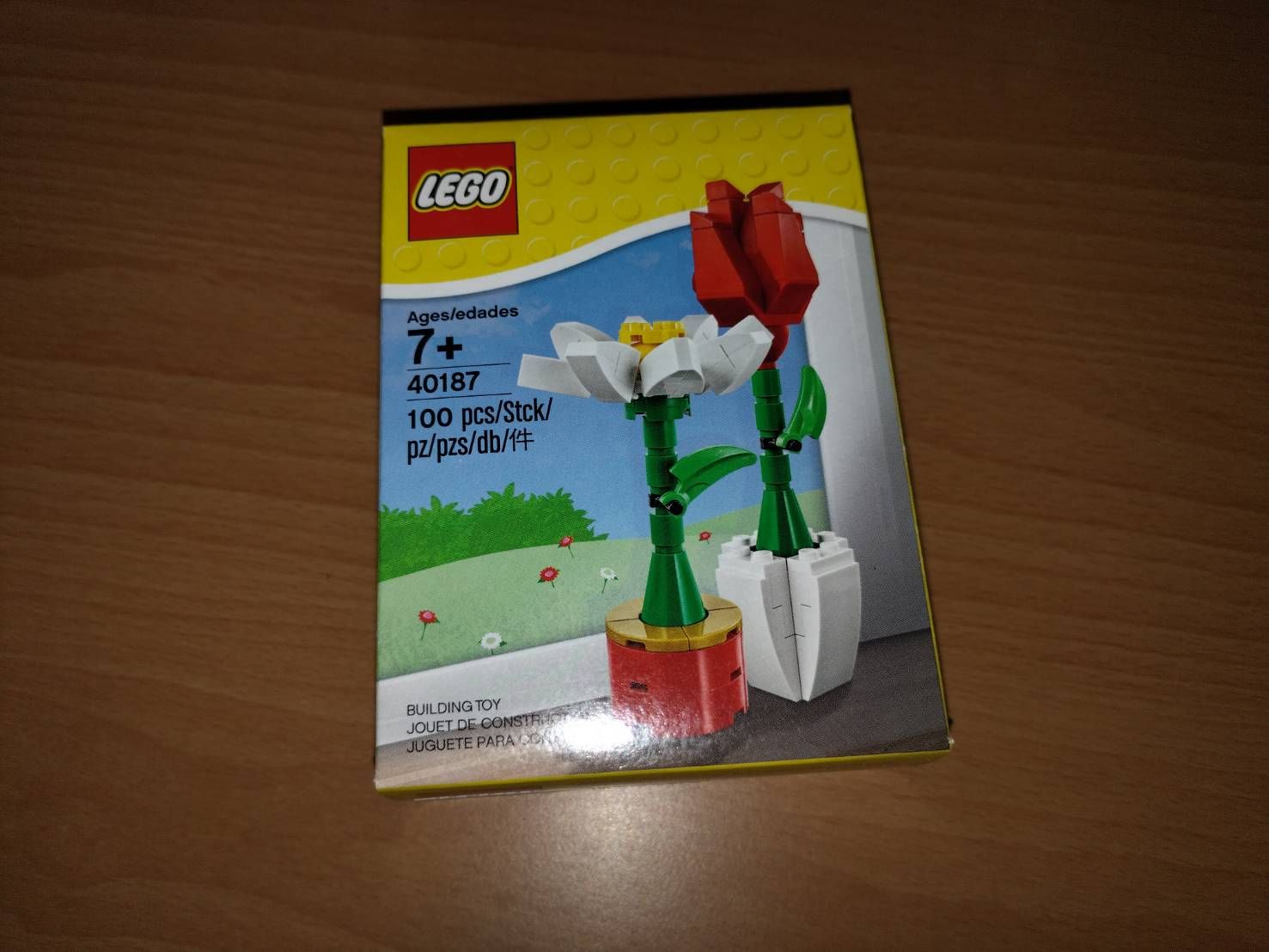 LEGO 全新未拆 40187