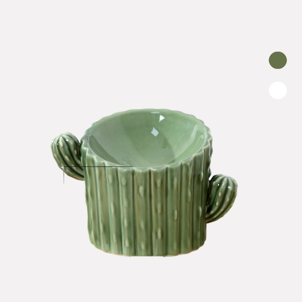 「阿明先森」仙人掌陶瓷碗