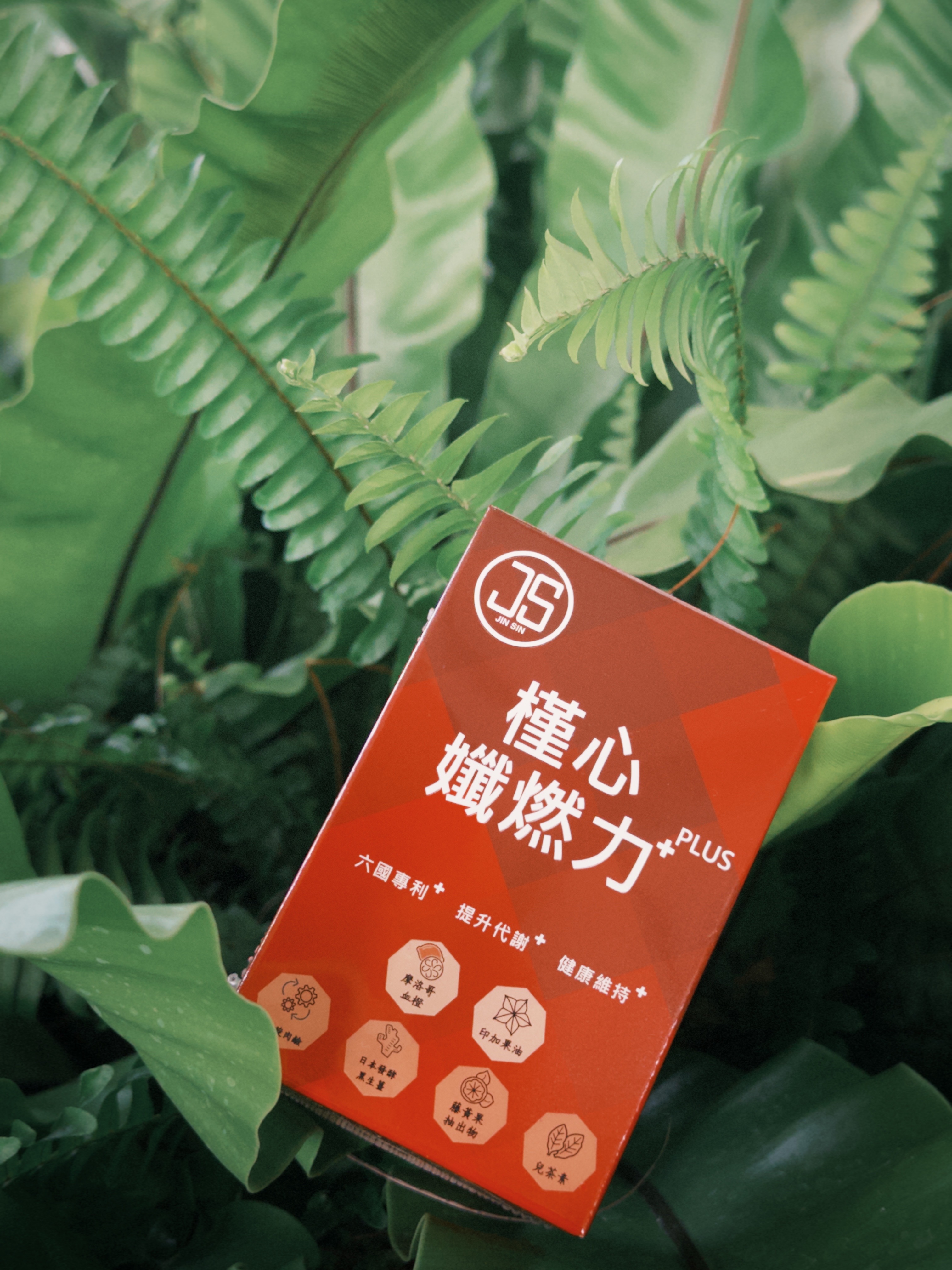 纖燃力-小紅