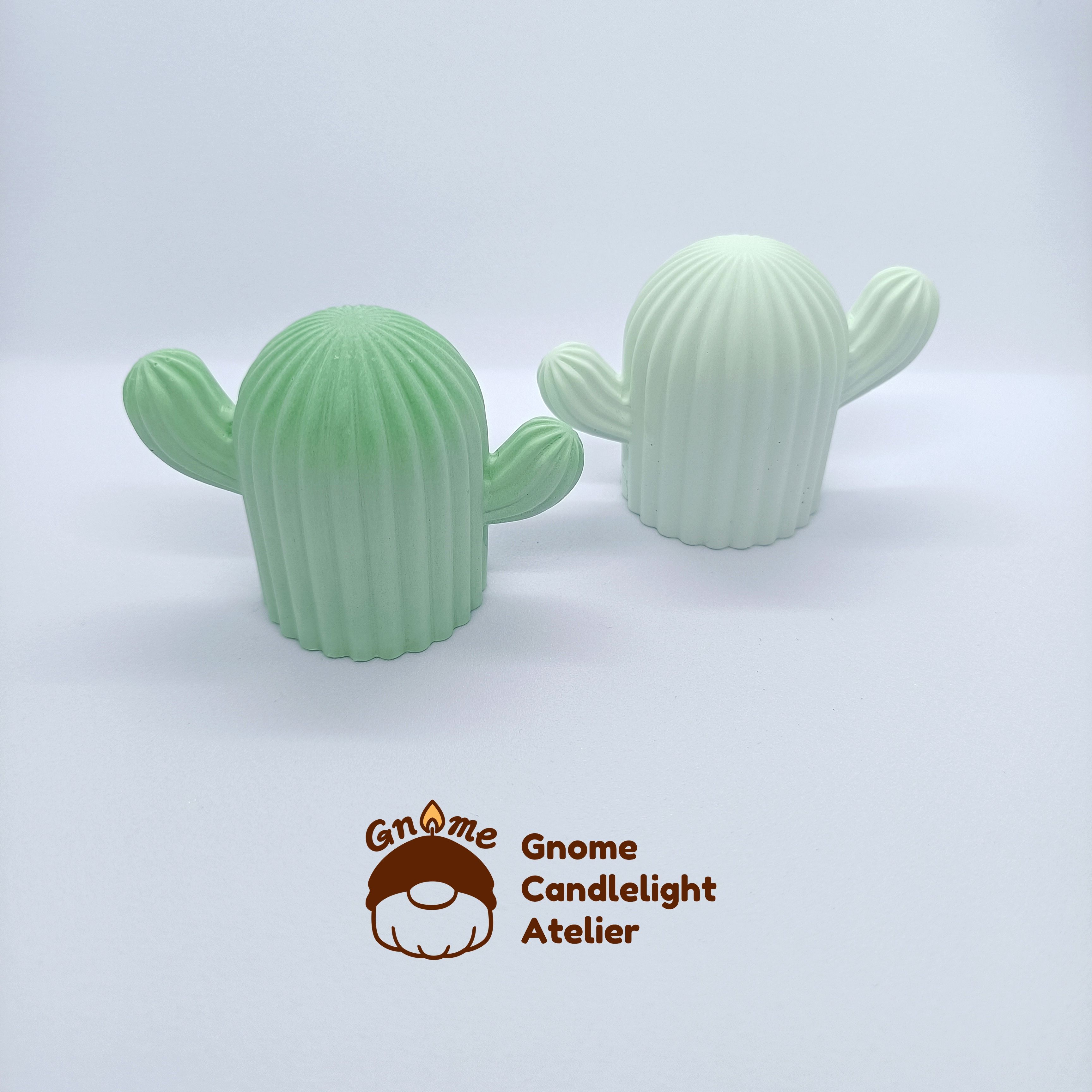 【擴香石】仙人掌擴香石