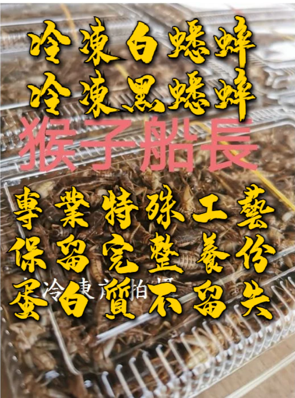 熟凍冷凍蟋蟀專區