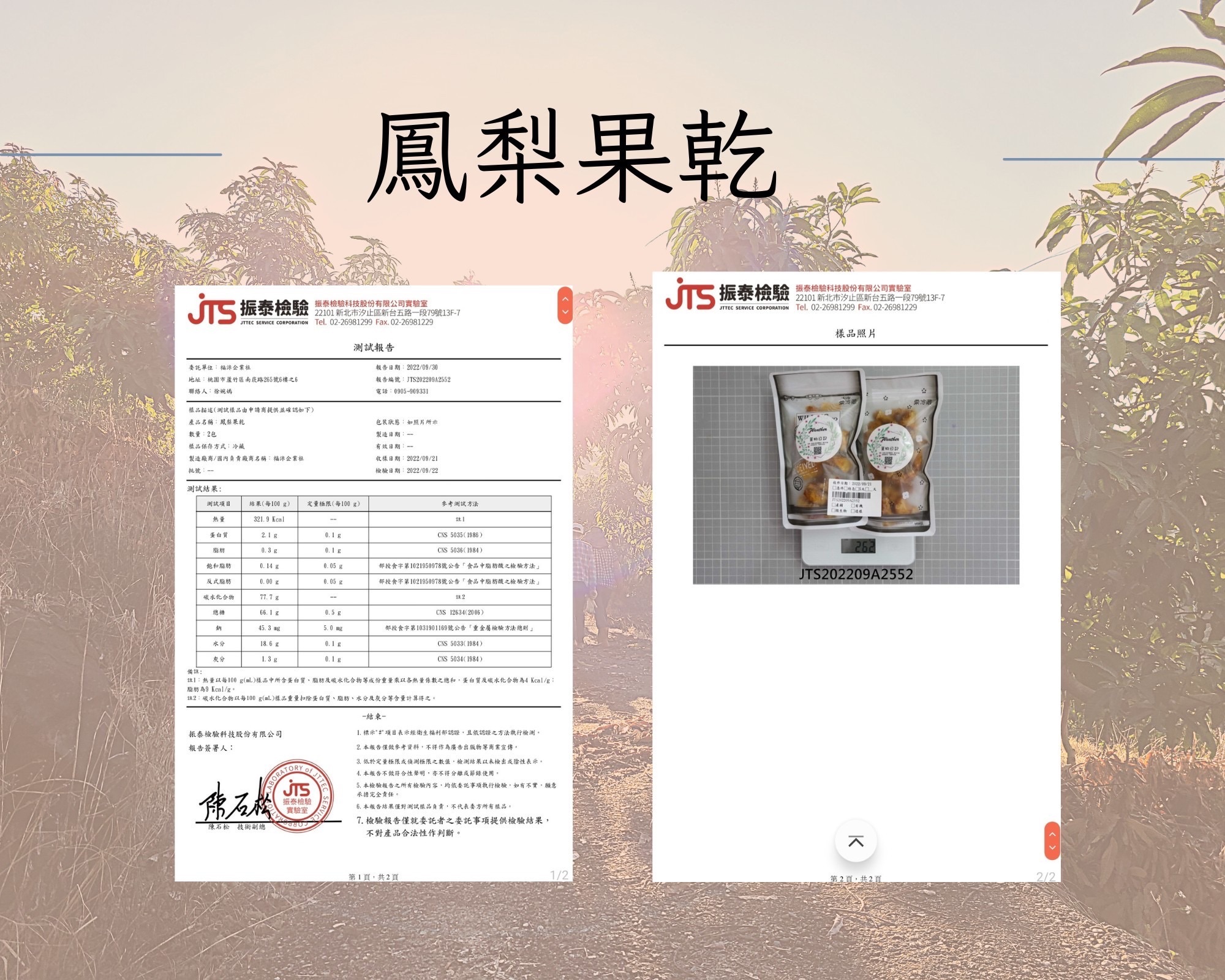 鳳梨果乾