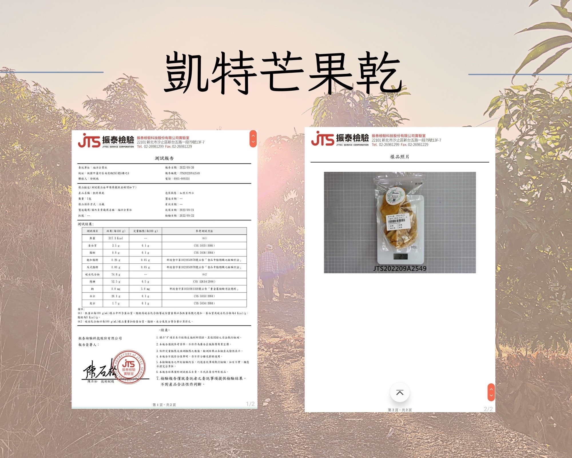 凱特芒果果乾