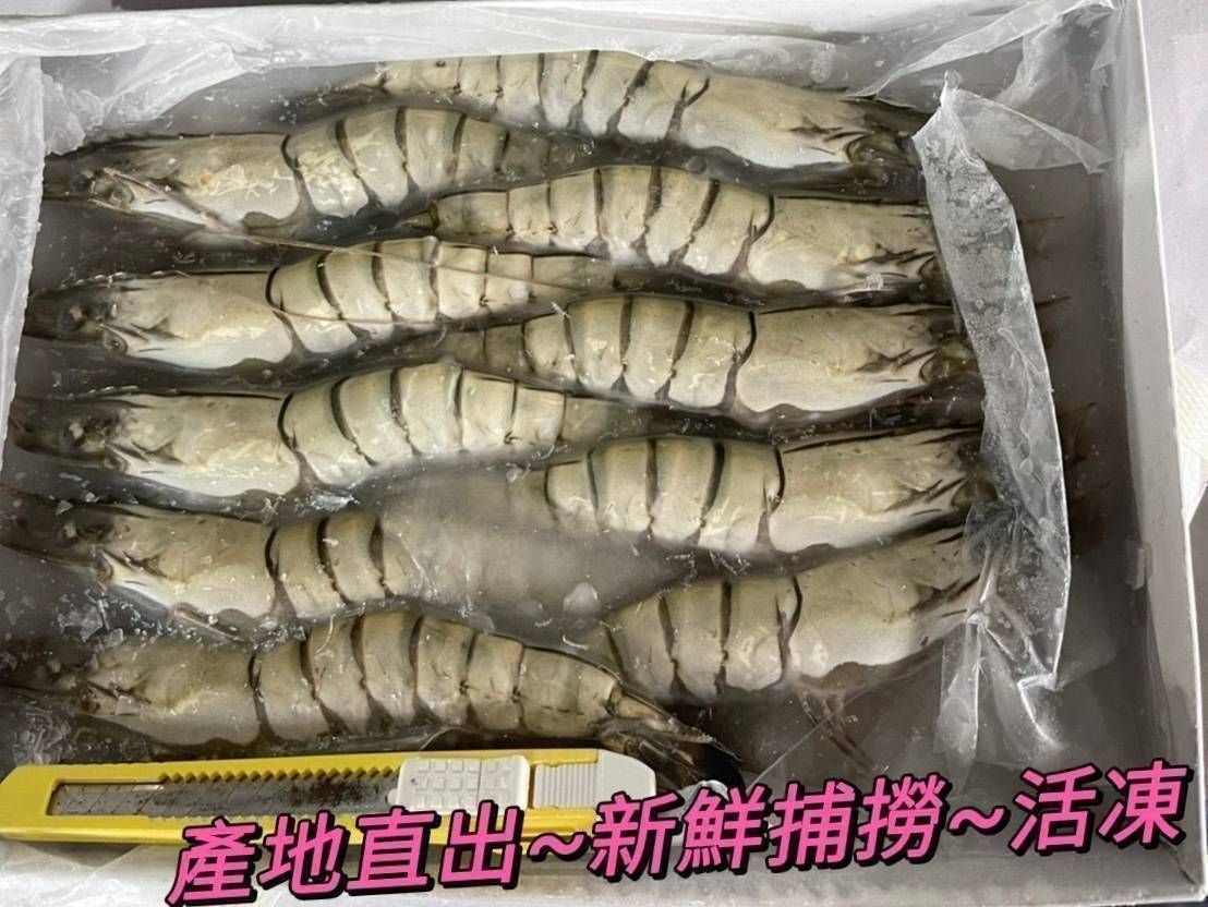 馬來西亞進口名產 特選 至尊級鮮活10p大草蝦