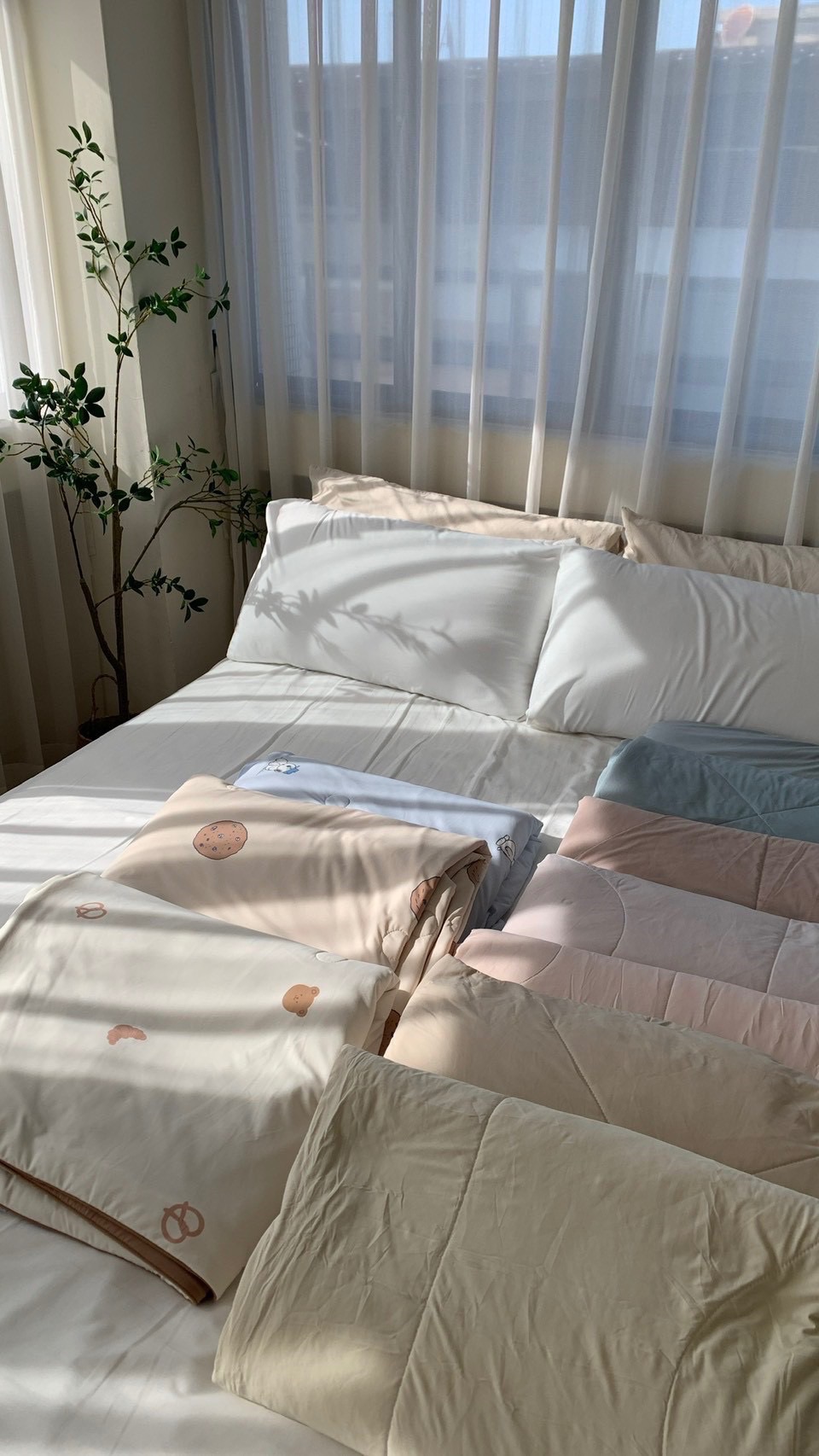 獨家｜-5℃涼感冰冰系列🧊