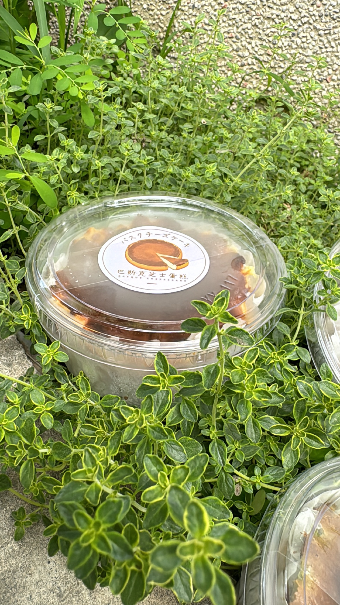 巴斯克乳酪蛋糕