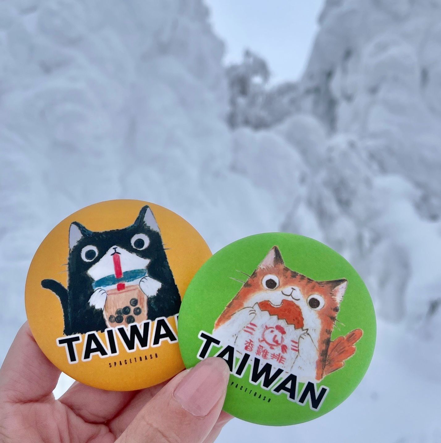 台灣TAIWAN徽章