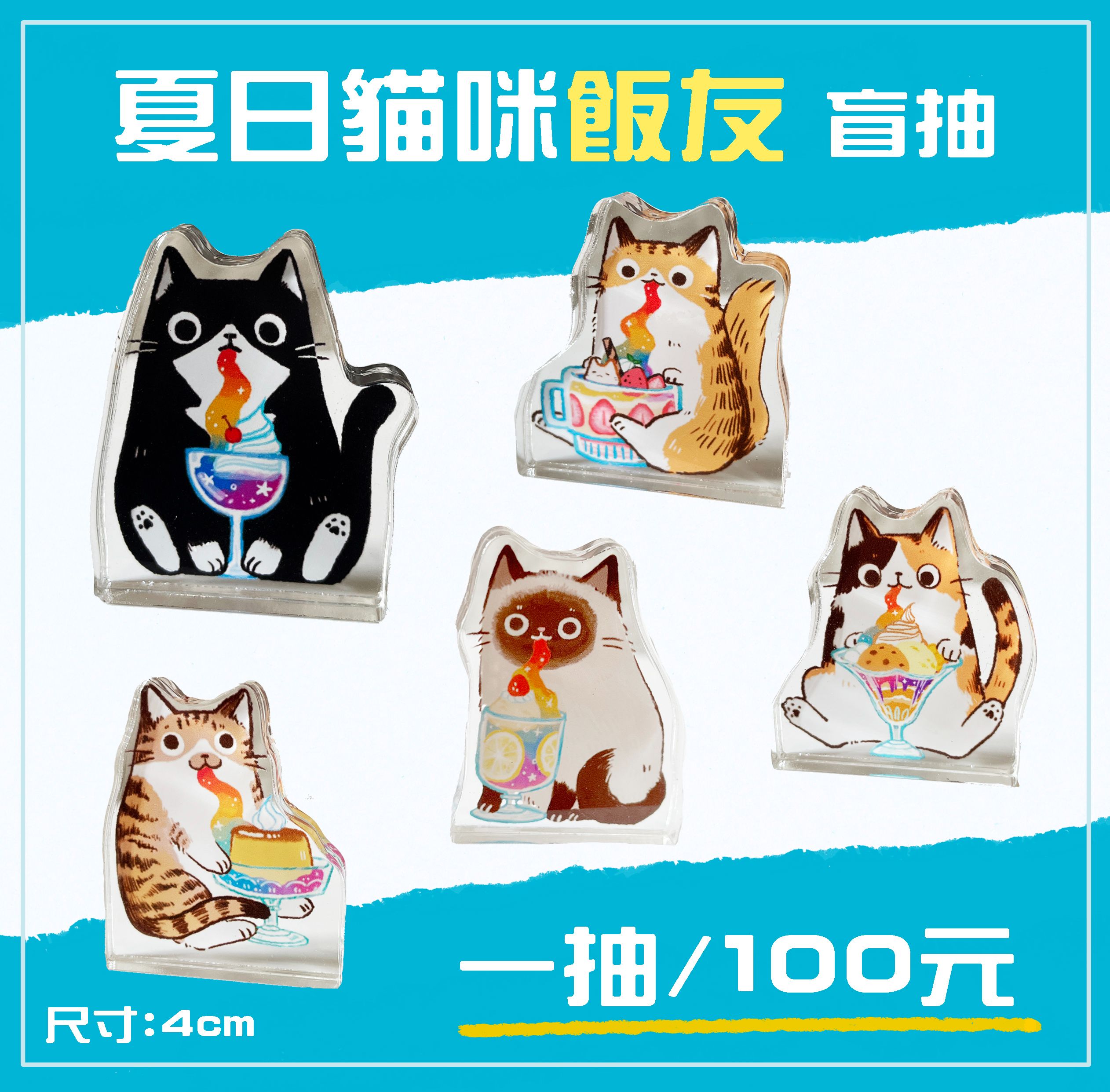 [盲抽]夏日貓咪飯友