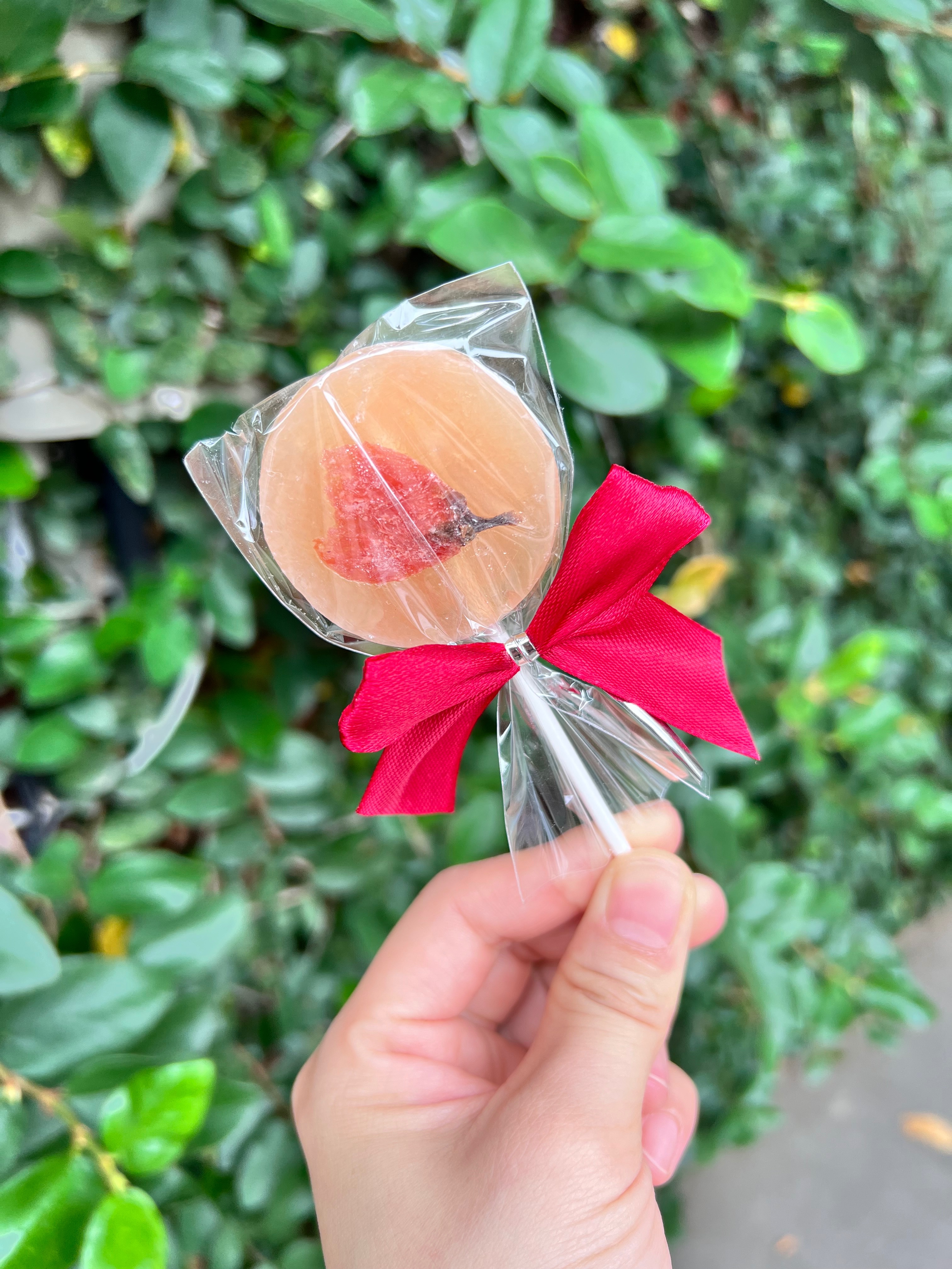 櫻花琉璃琥珀糖