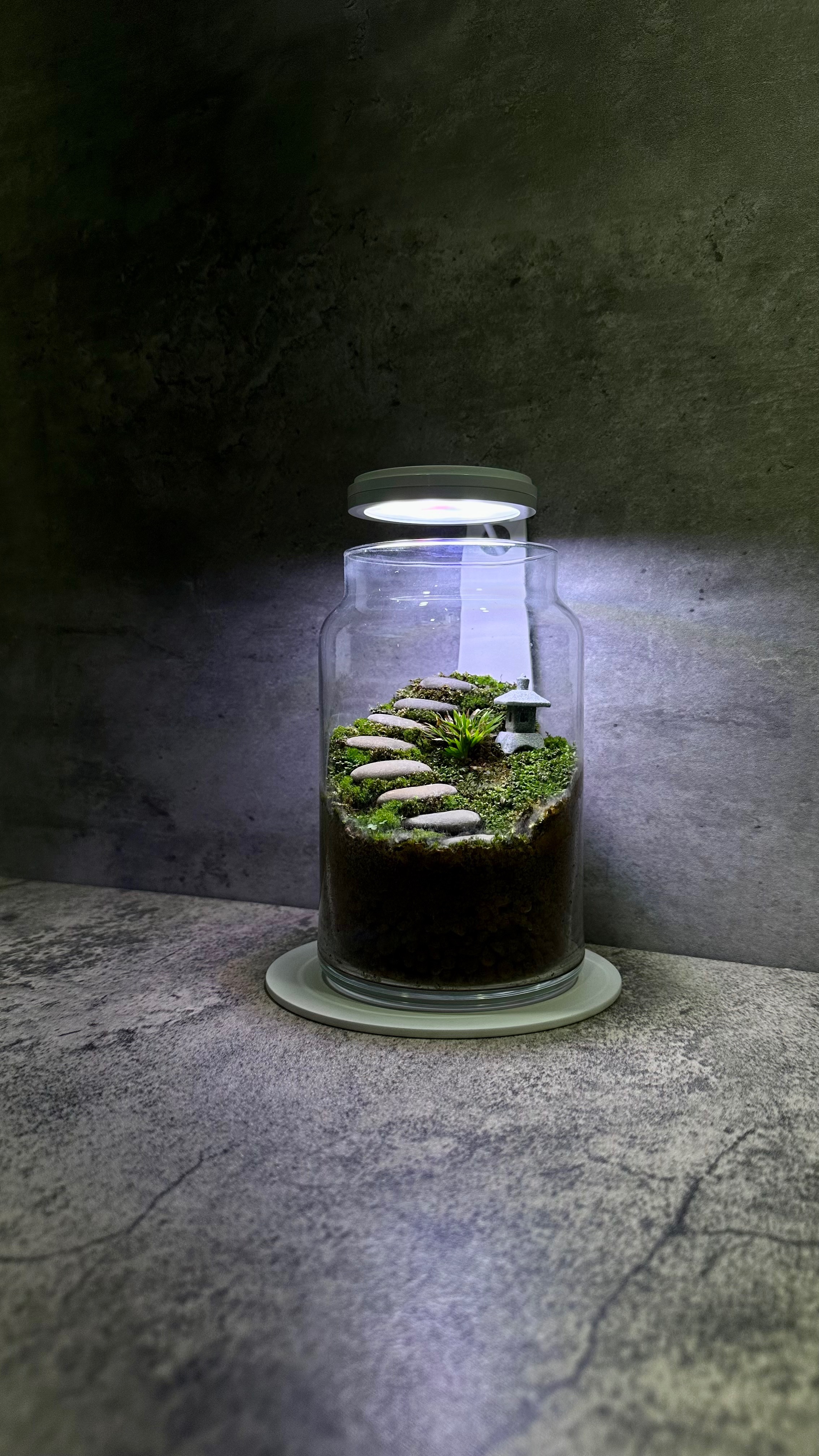 「SHIZUKU . 雫」5w 植物燈、生態瓶專用燈
