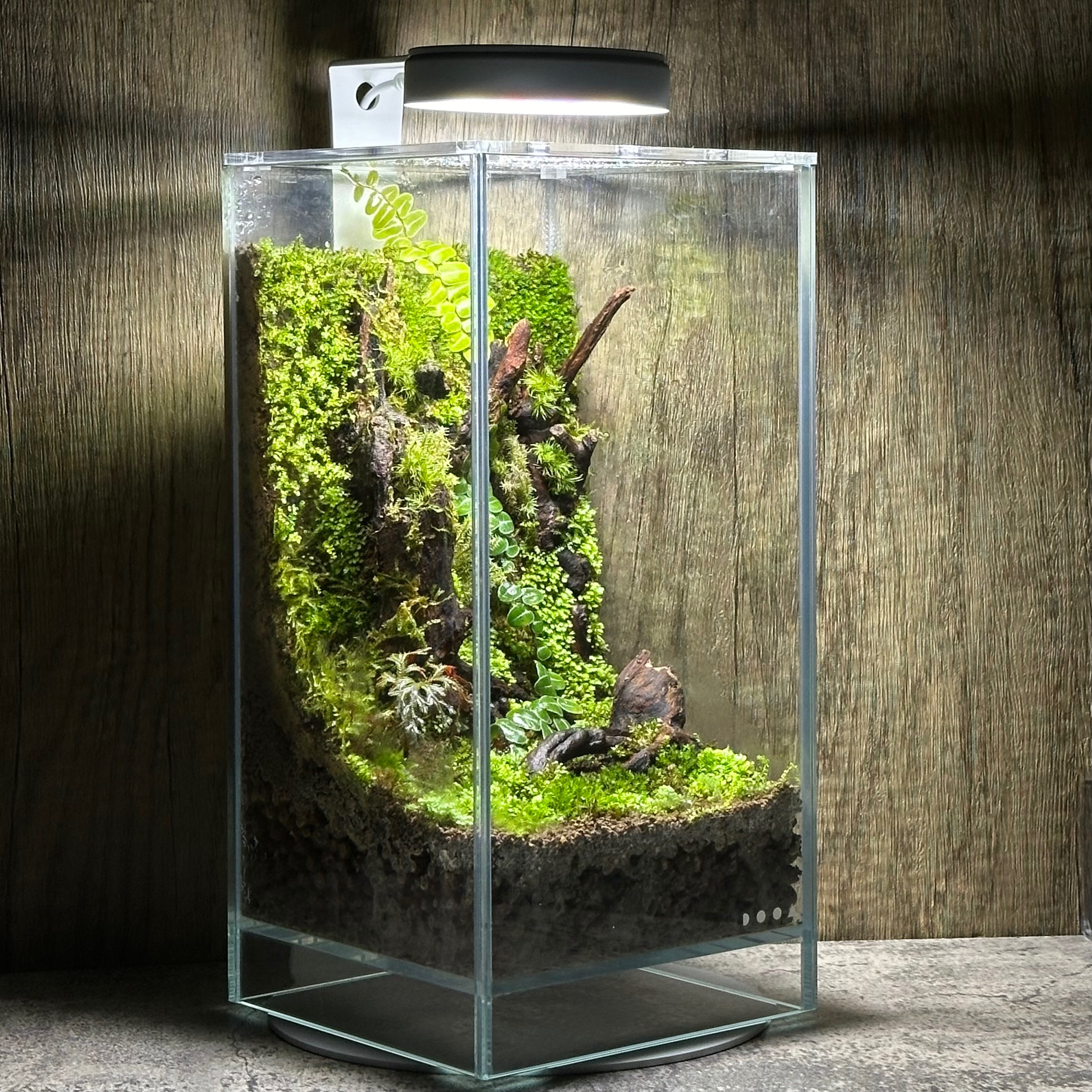 「SHIZUKU . 雫」10w 磁吸植物燈、磁吸燈、植物燈、生態瓶專用