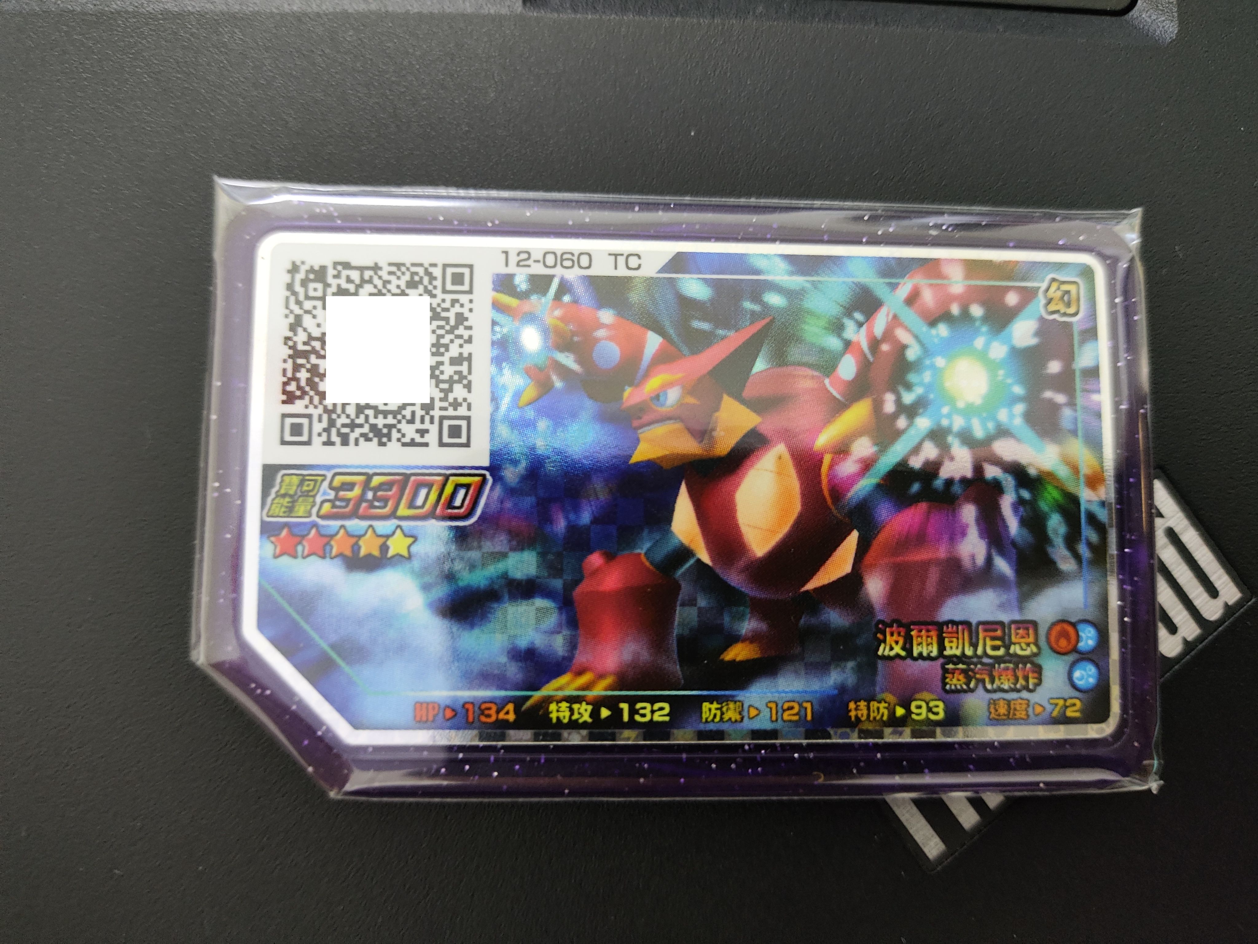 12-060波爾凱尼恩