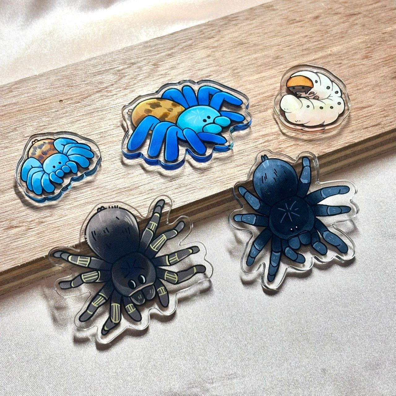 可愛蜘蛛 雞母蟲冰箱貼 壓克力 磁鐵