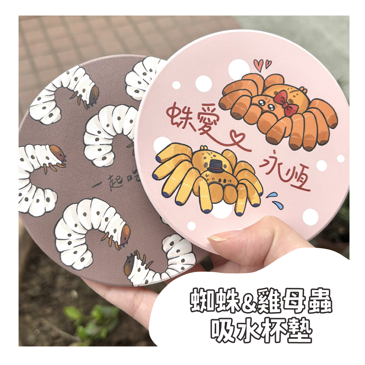 蜘蛛 雞母蟲吸水杯墊