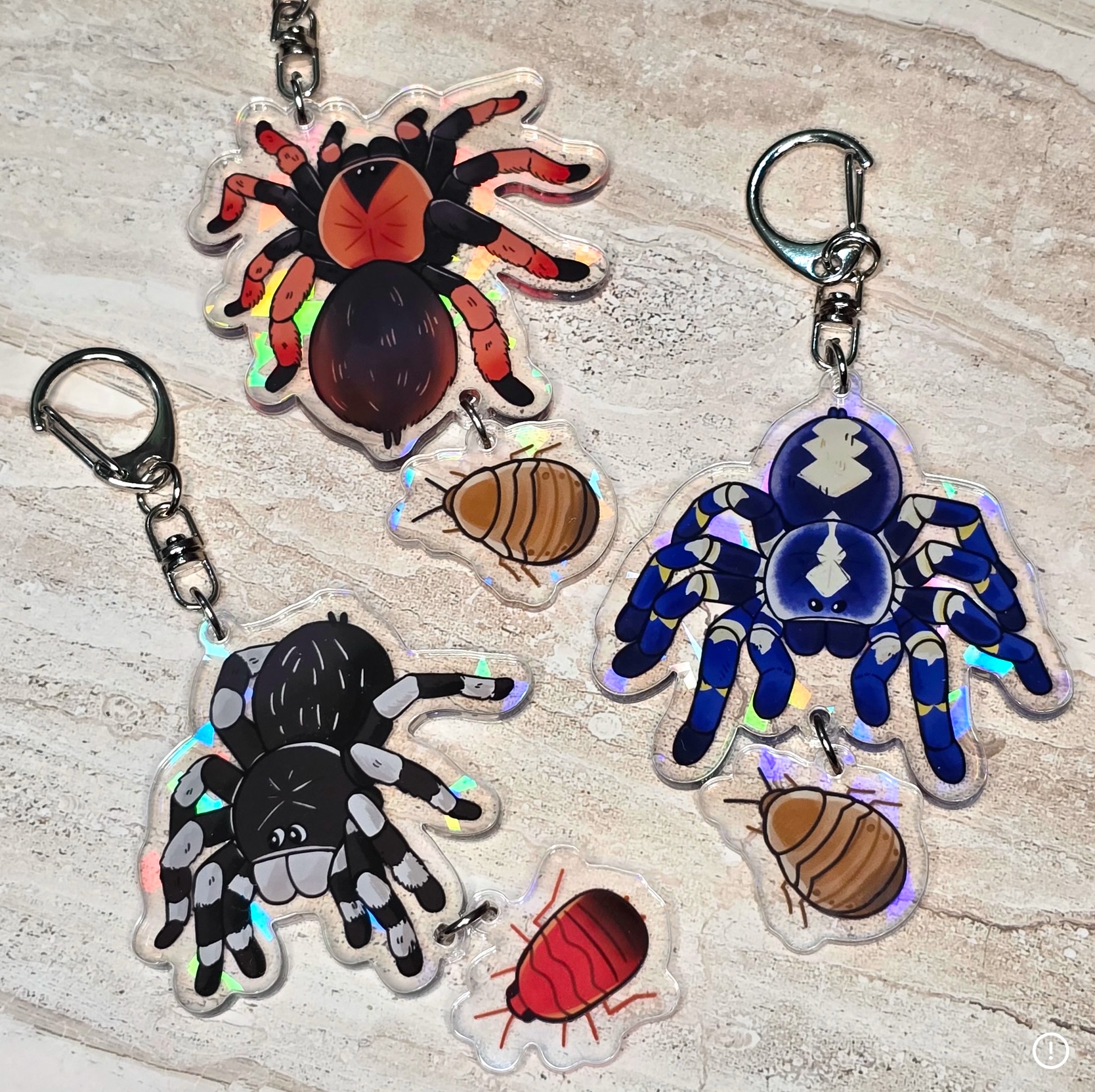 蜘蛛與食物串串第二彈✨藍寶石華麗雨林、墨西哥紅腳、巴西黑白腳、夢幻藍巴布、墨西哥紅膝頭