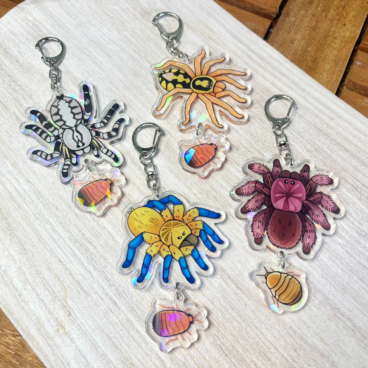 蜘蛛與食物串串第三彈✨印度華麗雨林、哥倫比亞南瓜大種、智利紅玫瑰、南非藍腿巴布