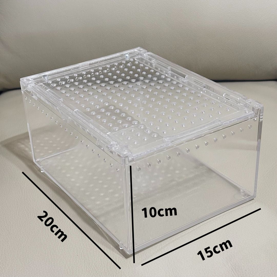 蜘蛛的家—中壓克力滑蓋盒