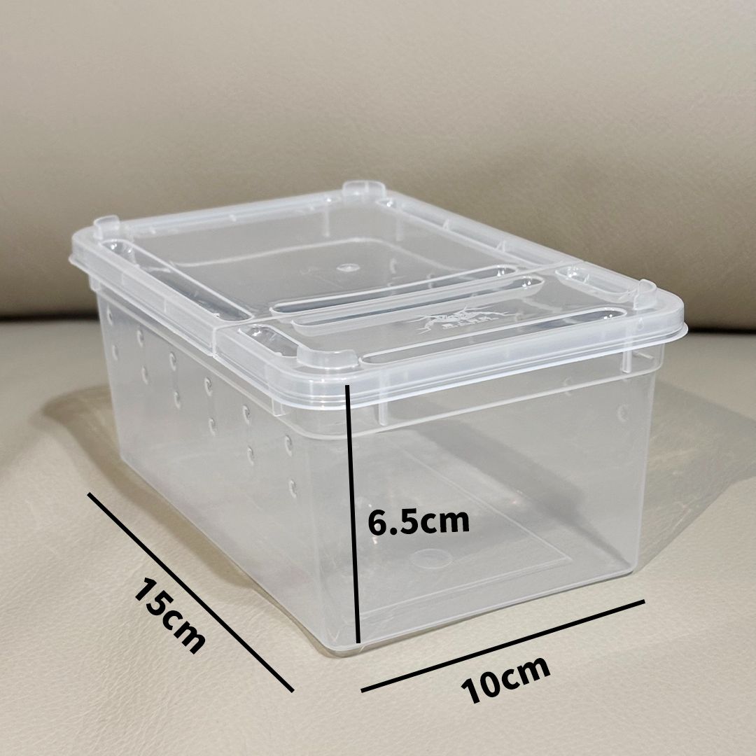 蜘蛛的家—中塑膠人渣盒