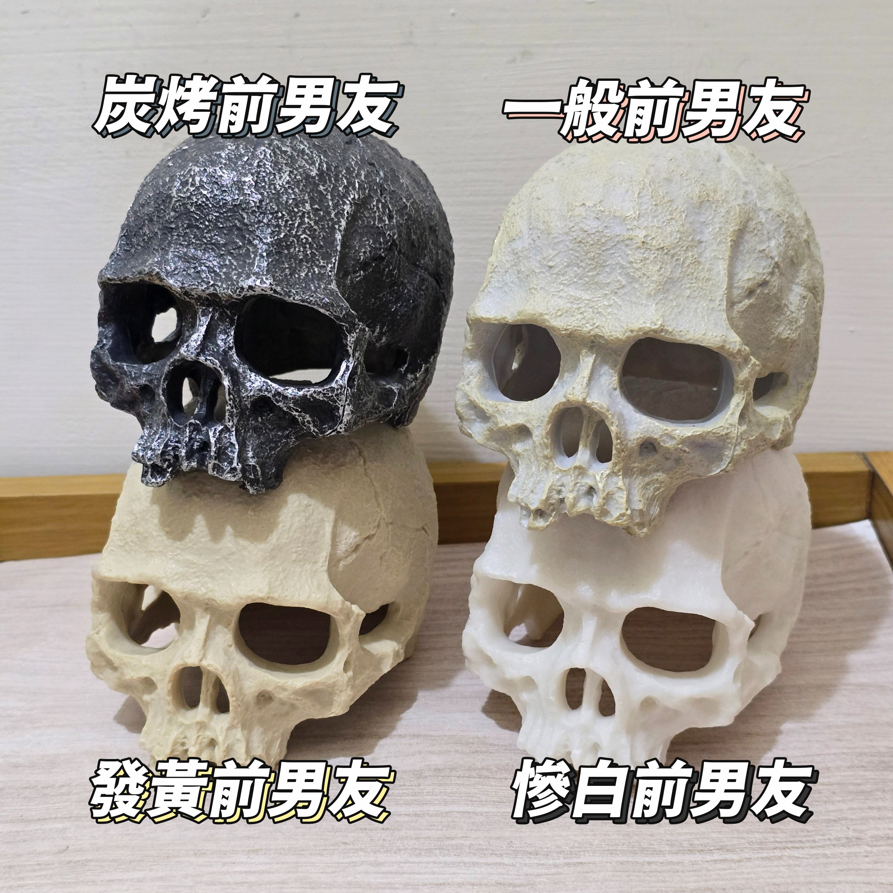 前男友的頭（X）蜘蛛、守宮躲避屋