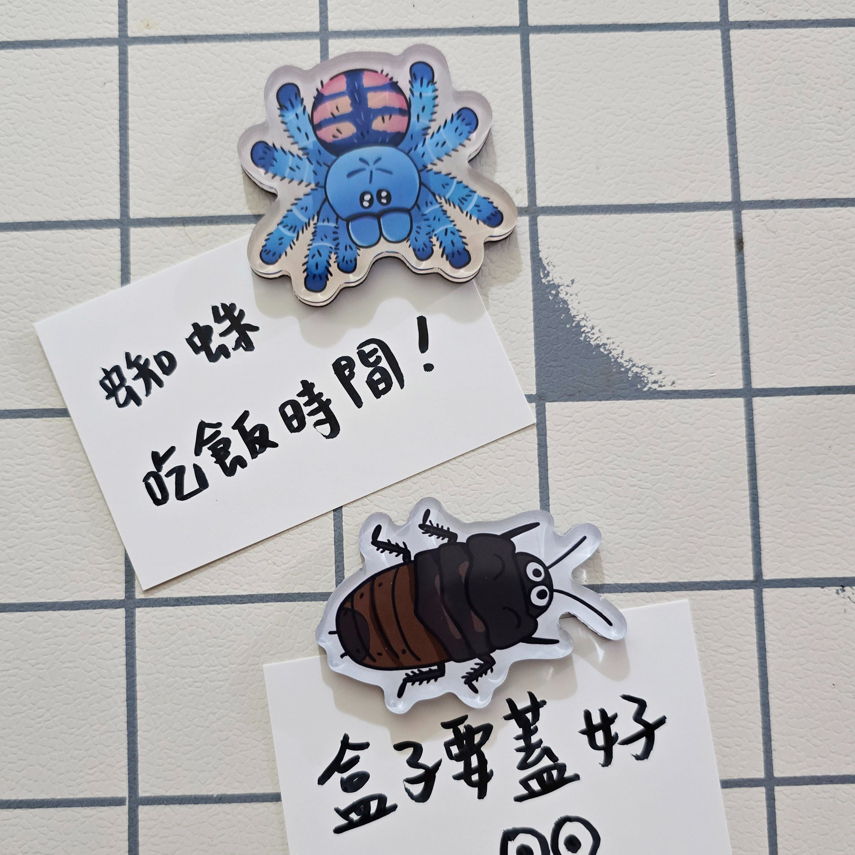 蜘蛛冰箱貼✨油彩粉趾、馬島蟑螂