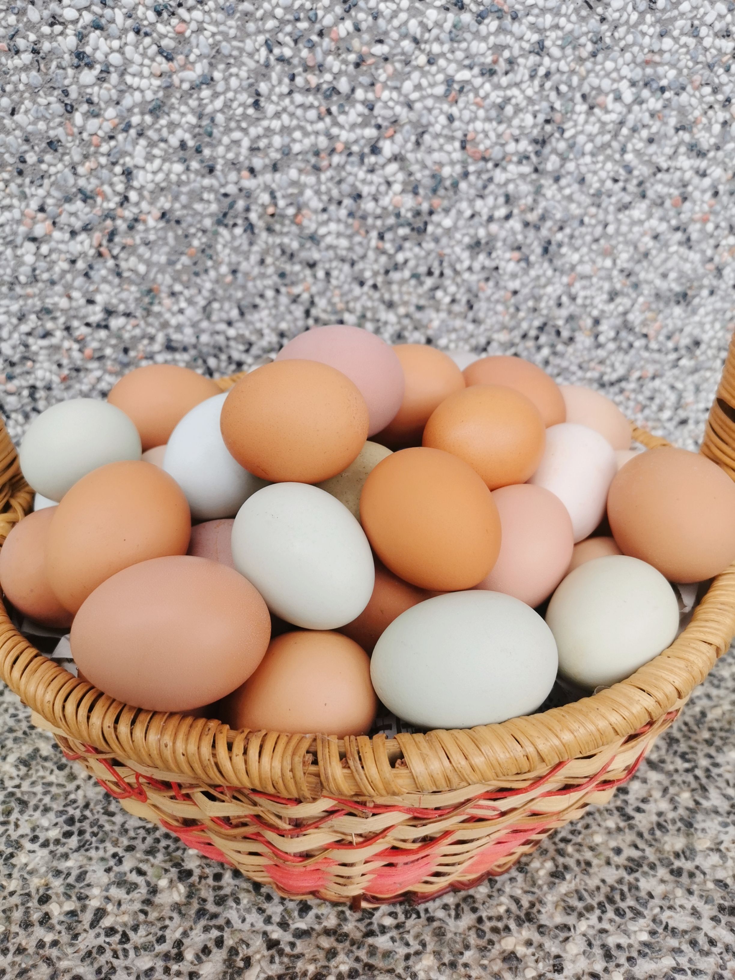 南投人道飼養彩色蛋