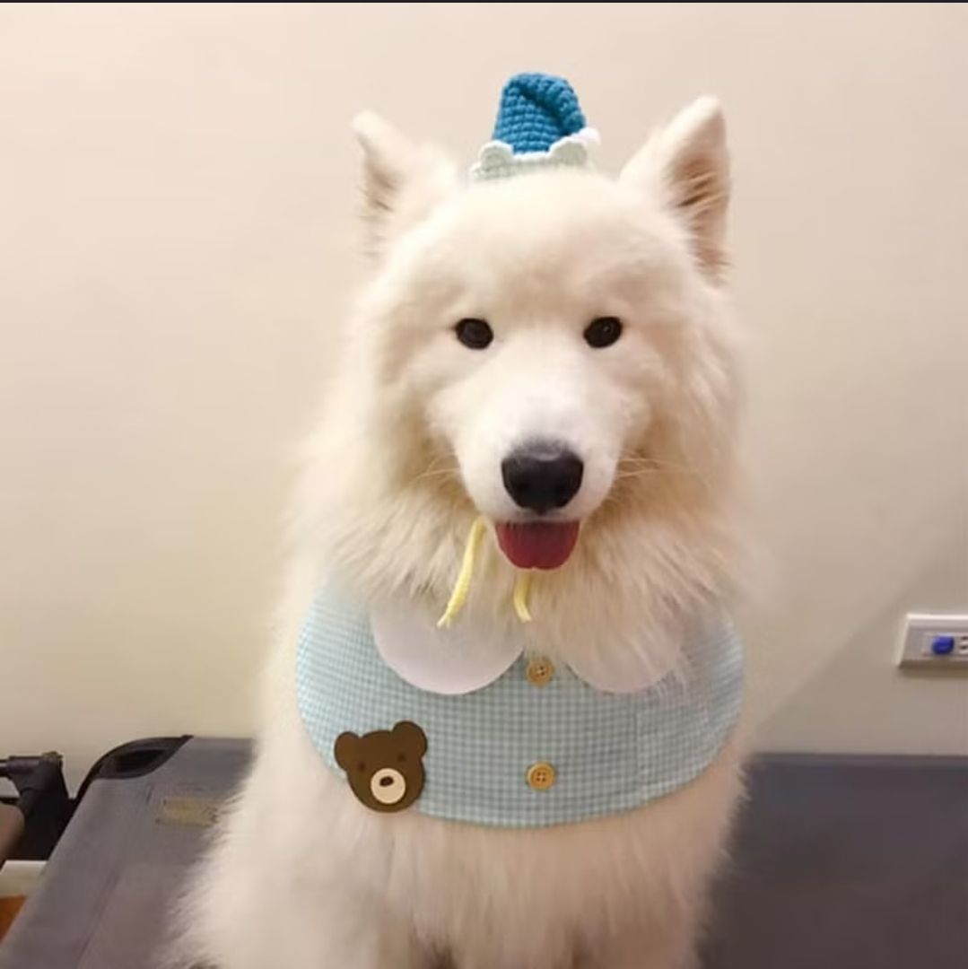 藍色睡衣領巾*剩XL（不含帽子）