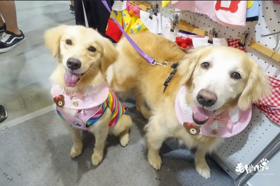 粉色睡衣領巾*剩XXL號