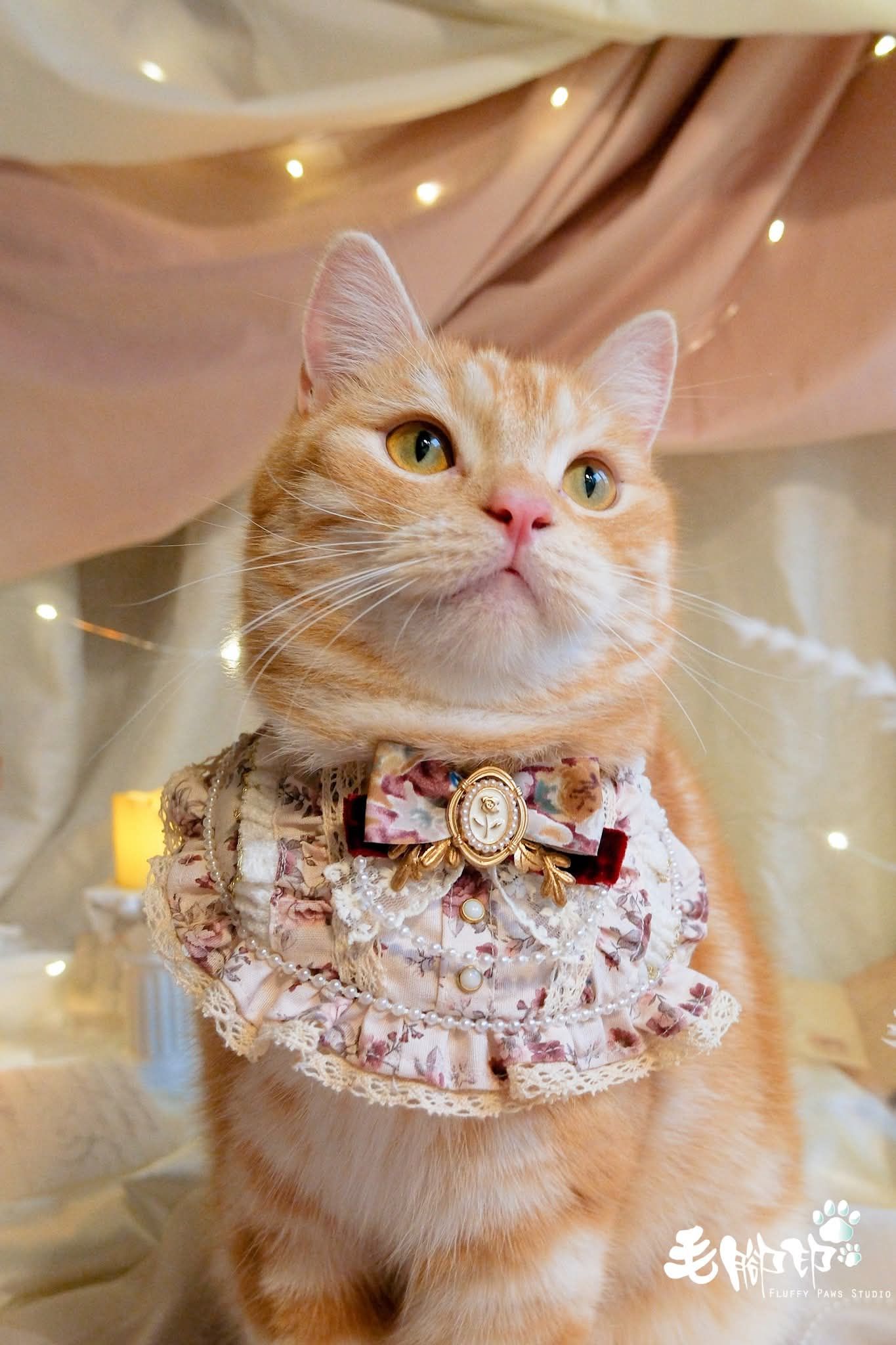 維也納舞會季_玫瑰華爾滋