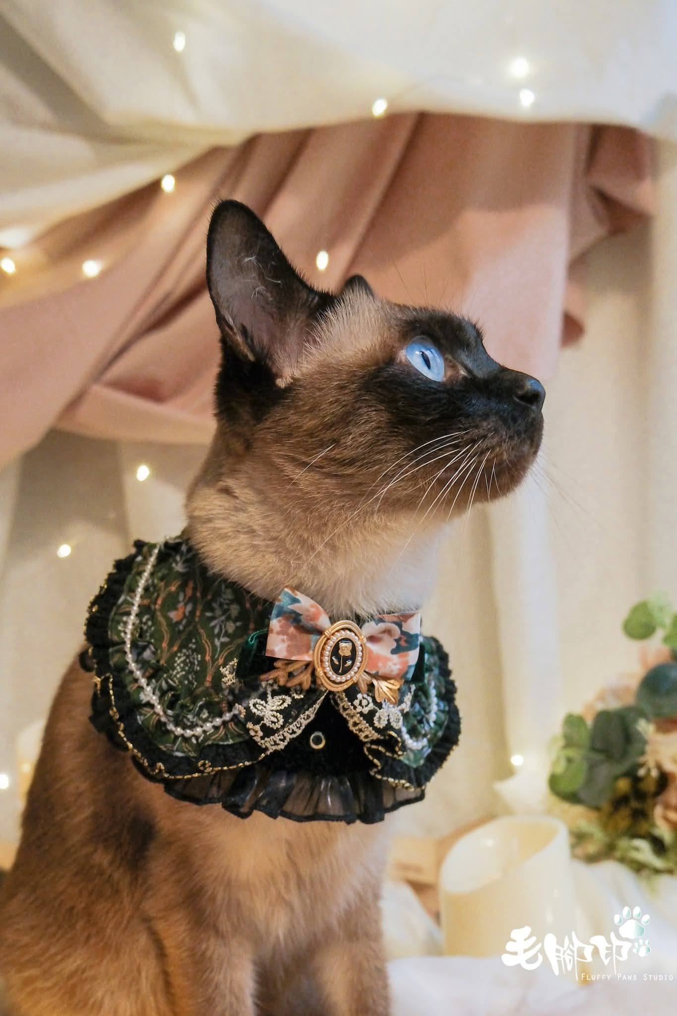 維也納舞會季_森之夜曲