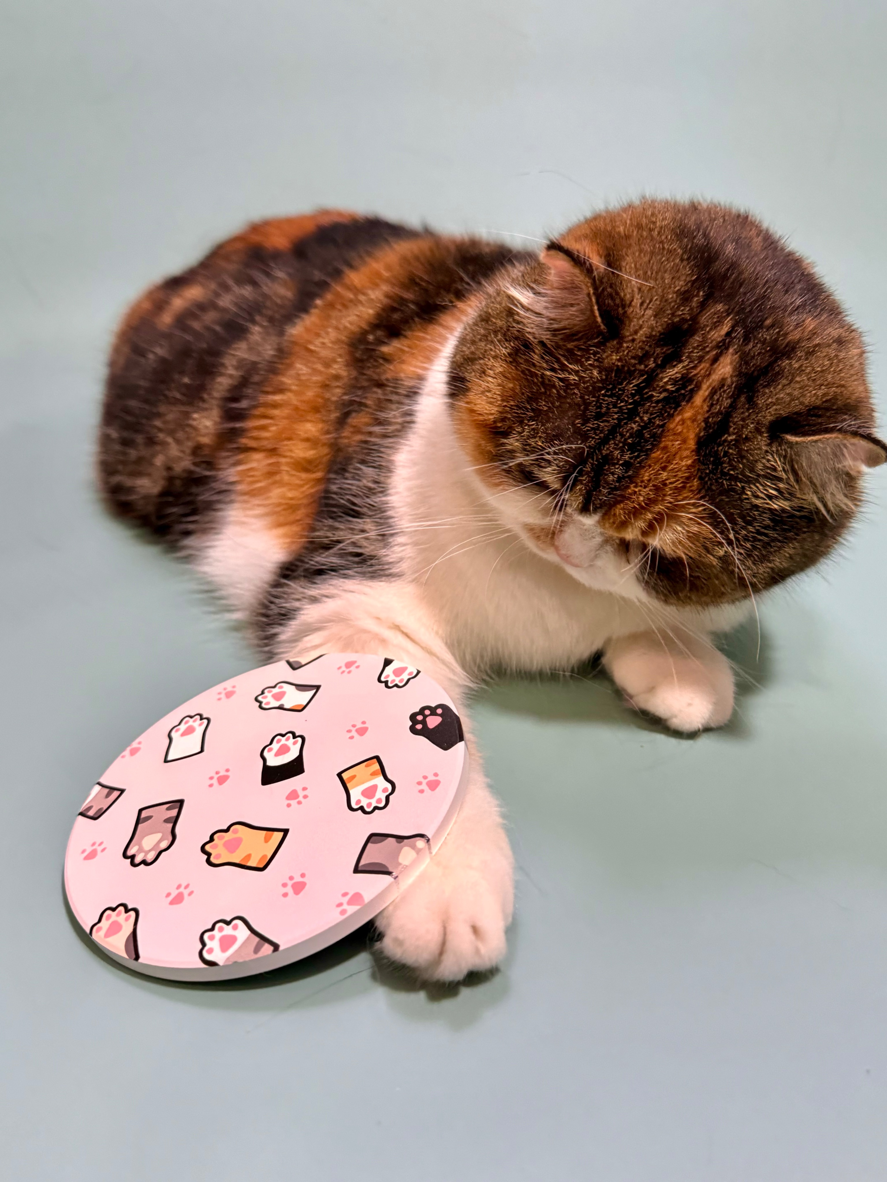 吉莉兄妹-滿版貓掌杯墊