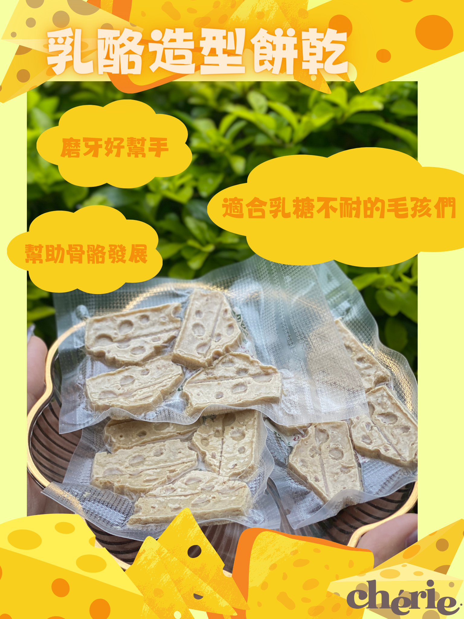 乳酪造型餅乾