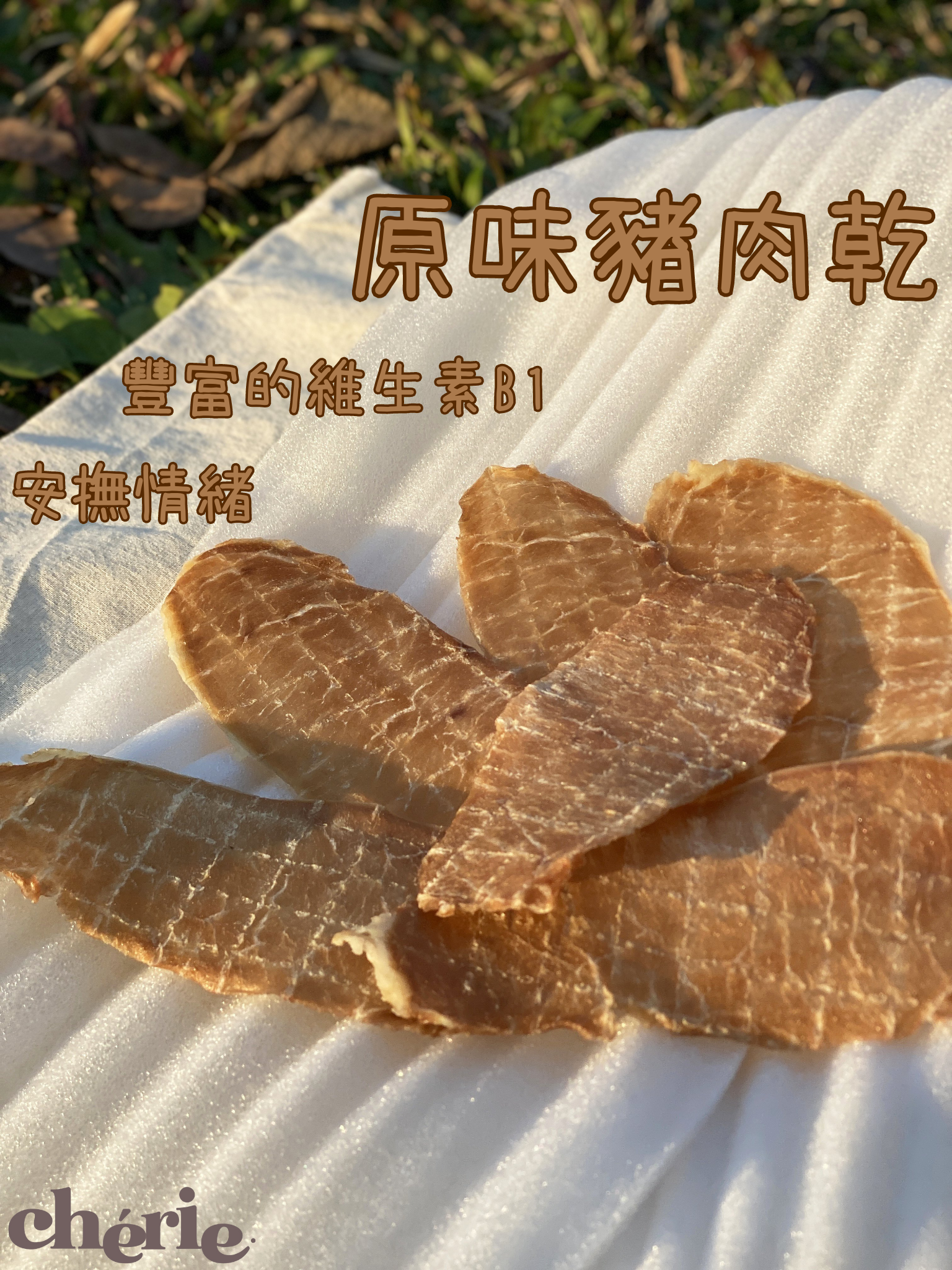 豬肉乾