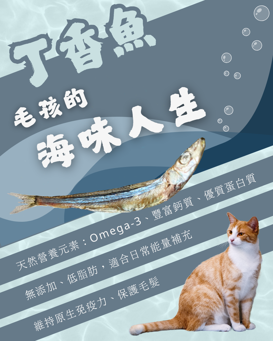 丁香魚