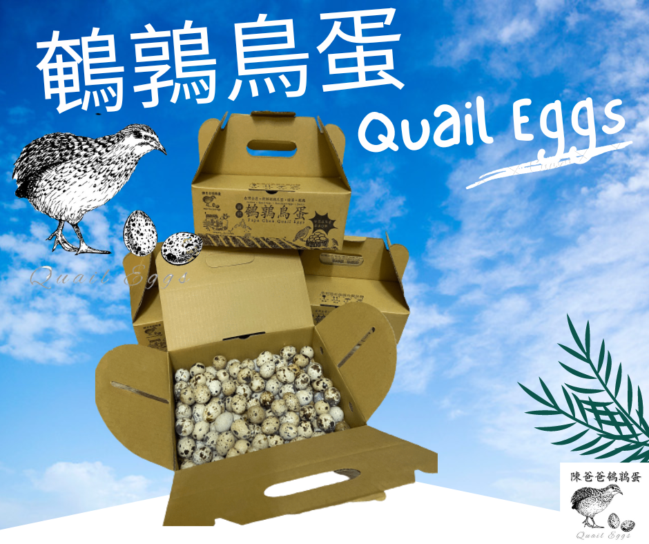 鵪鶉鳥蛋 鳥蛋 鵪鶉蛋 生鮮蛋 烤鳥蛋