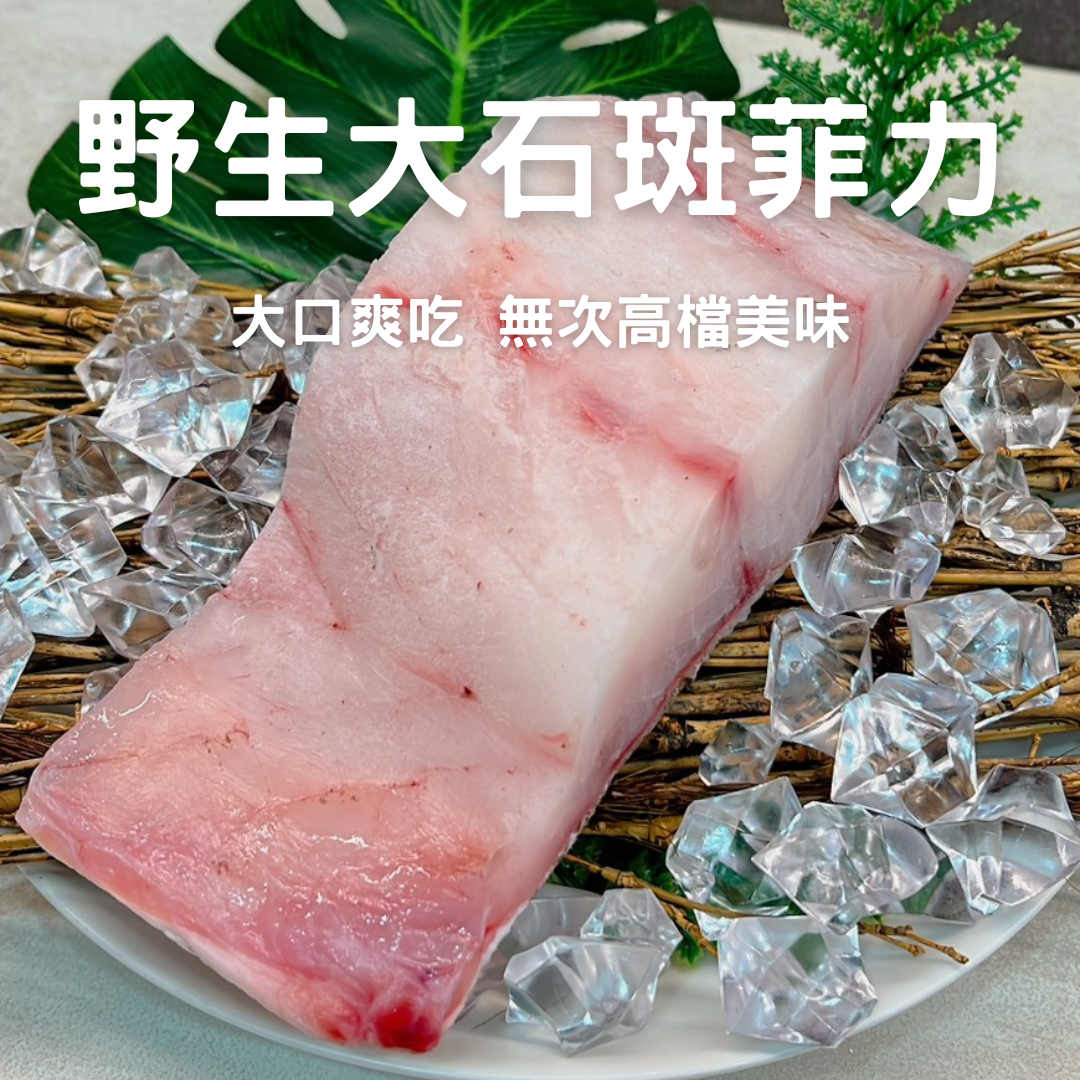 【豪華無刺】野生大石斑菲力魚排