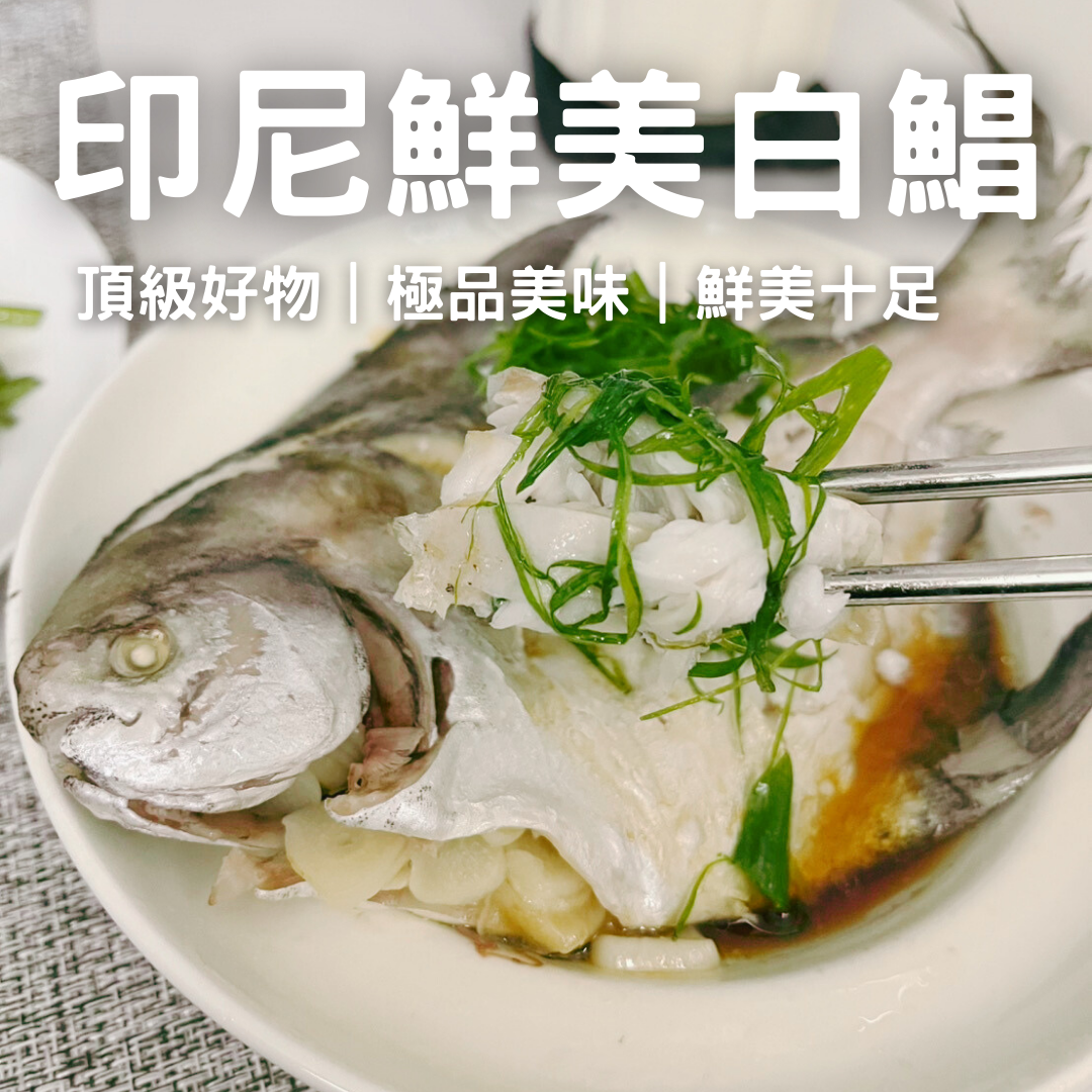【頂級高檔次】印尼鮮美白鯧