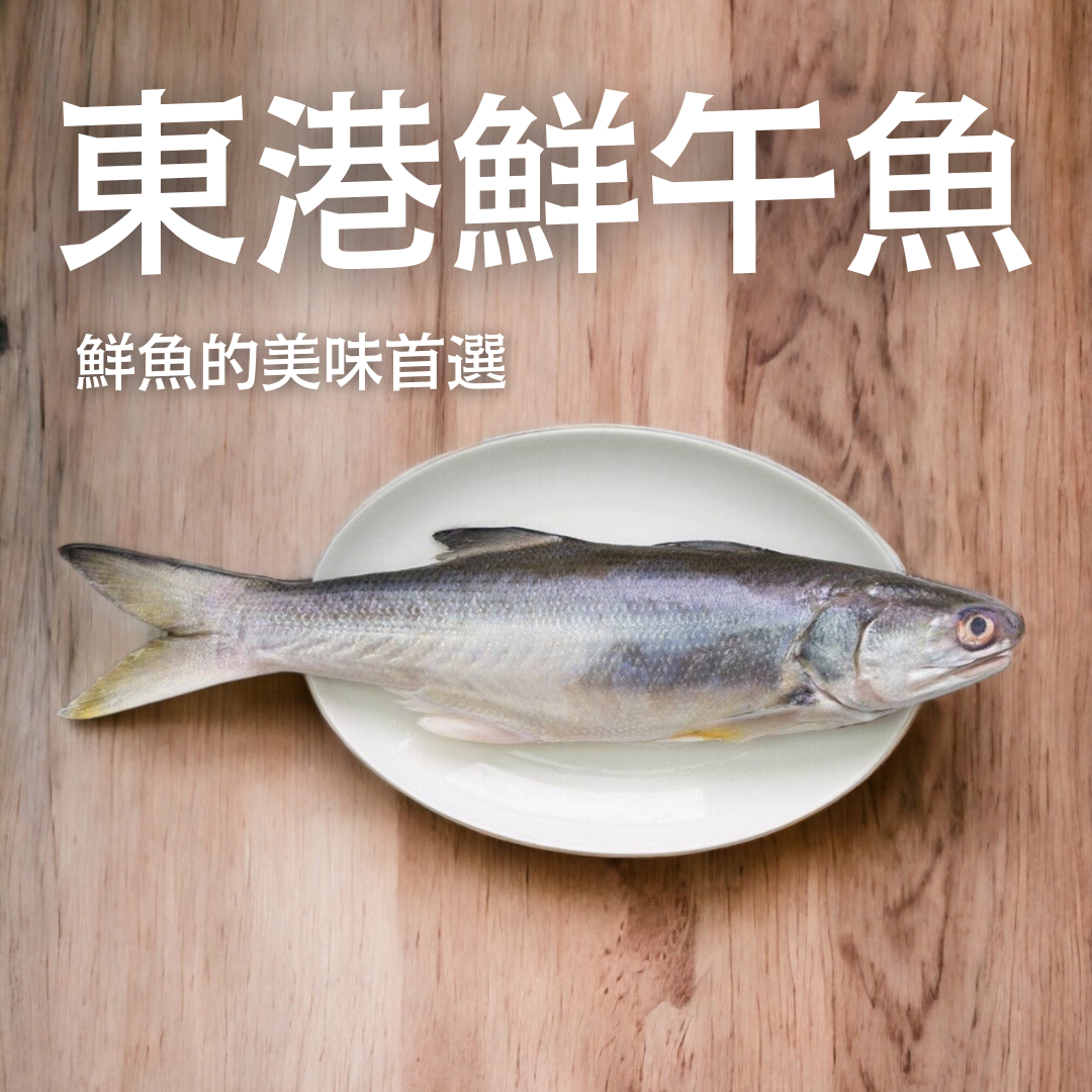 肉質細緻-東港鮮午魚