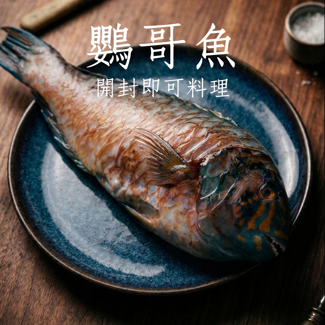 【新品上市】鸚哥魚