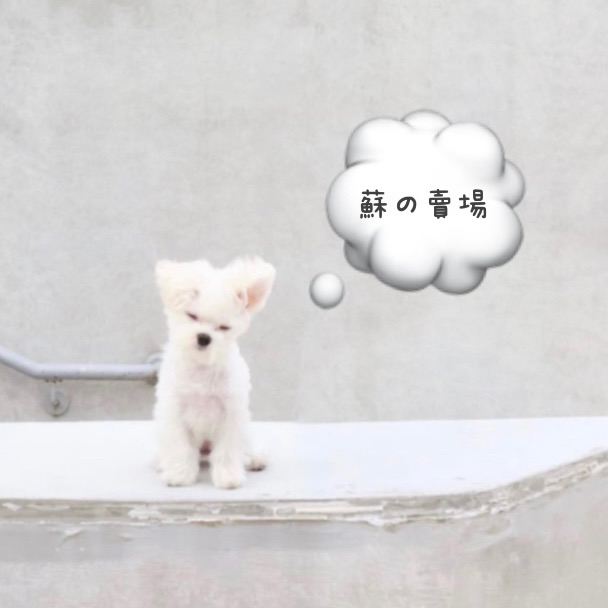 包手記得下（沒下不出貨）