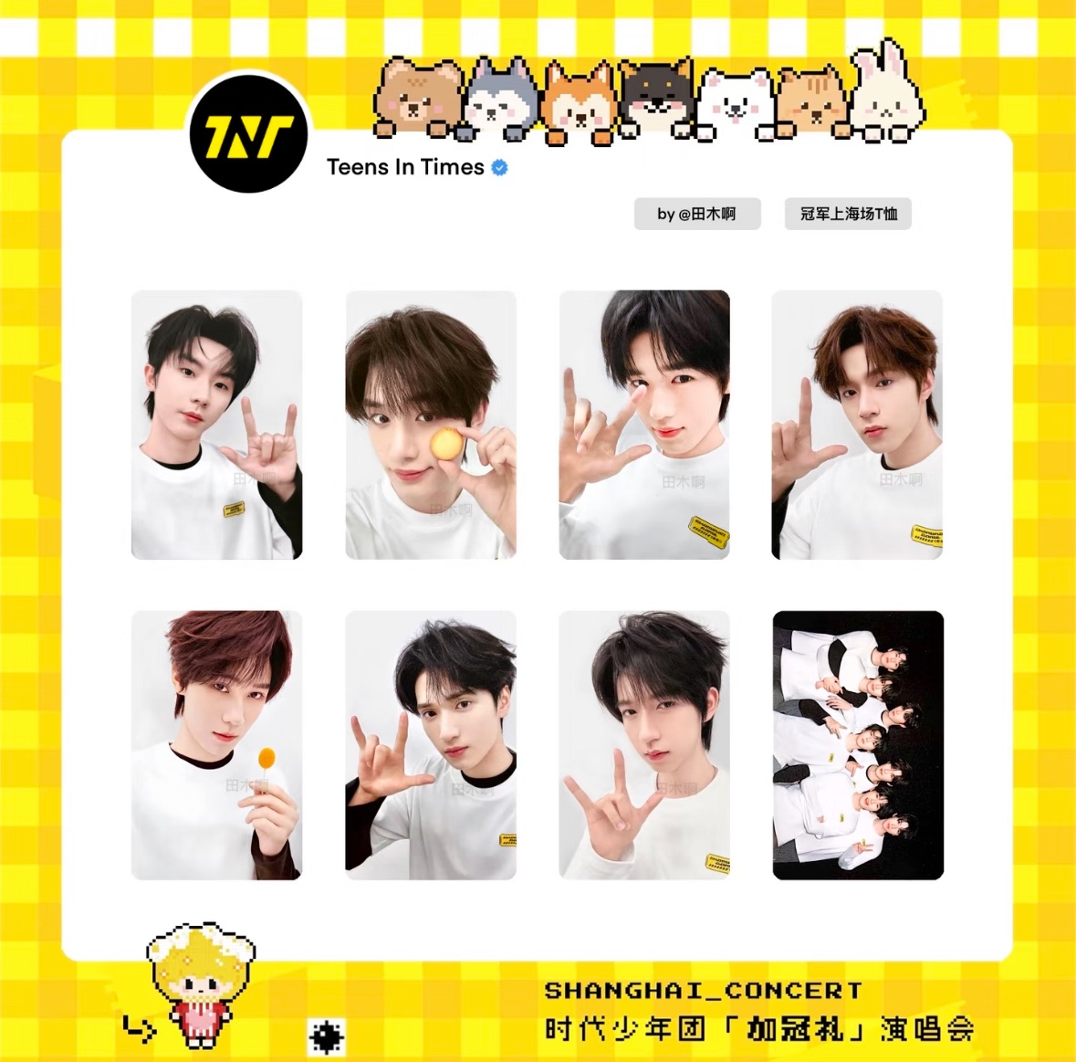 《上海加冠禮冠軍T恤》