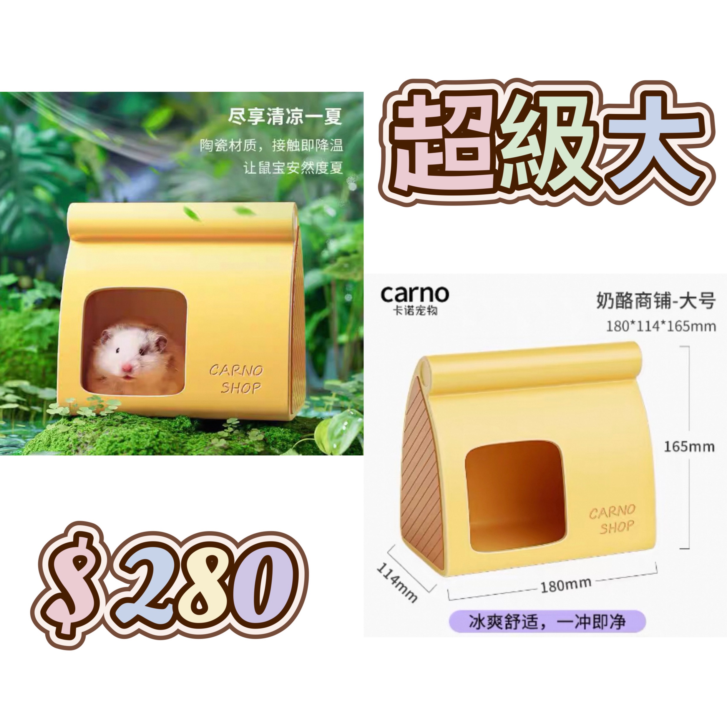 －陶瓷－5月新品✨✨✨