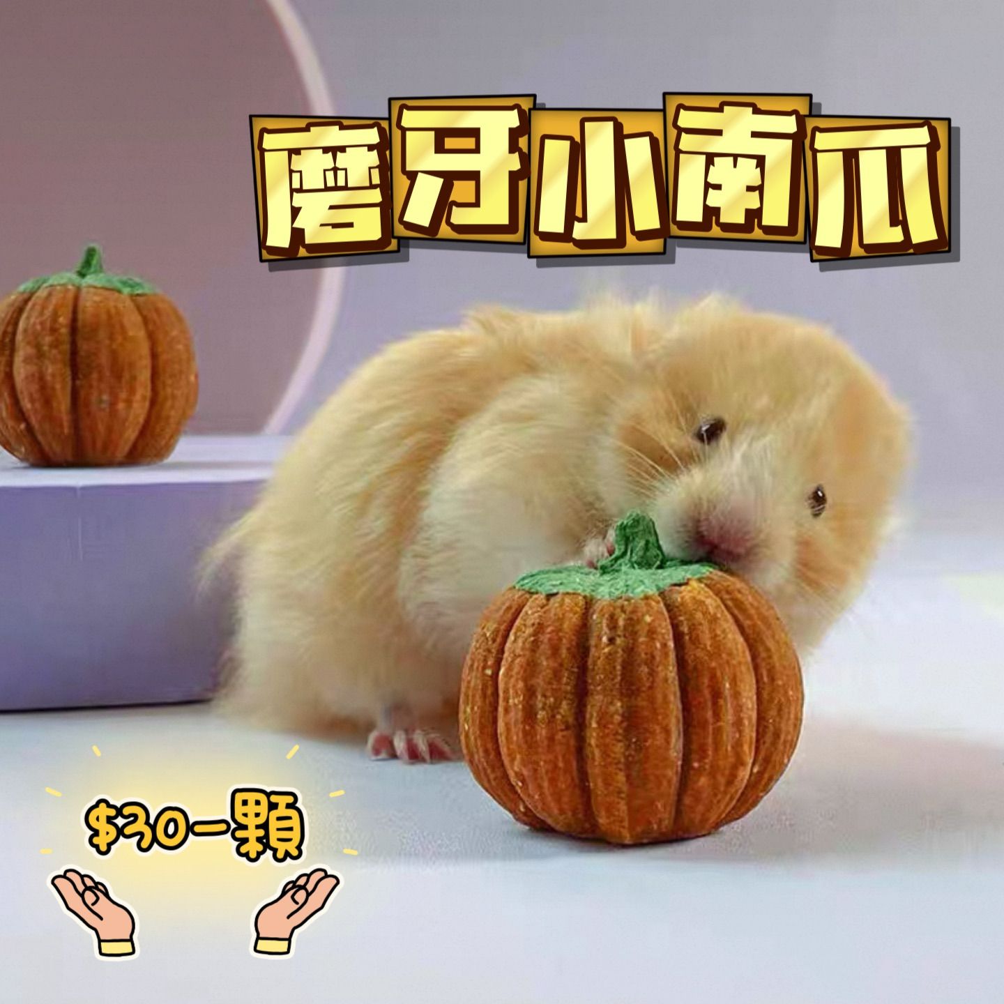 造景｜磨牙｜可可愛愛