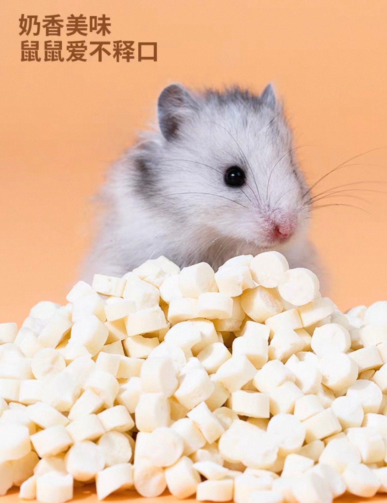 奶酪粒｜磨牙補鈣