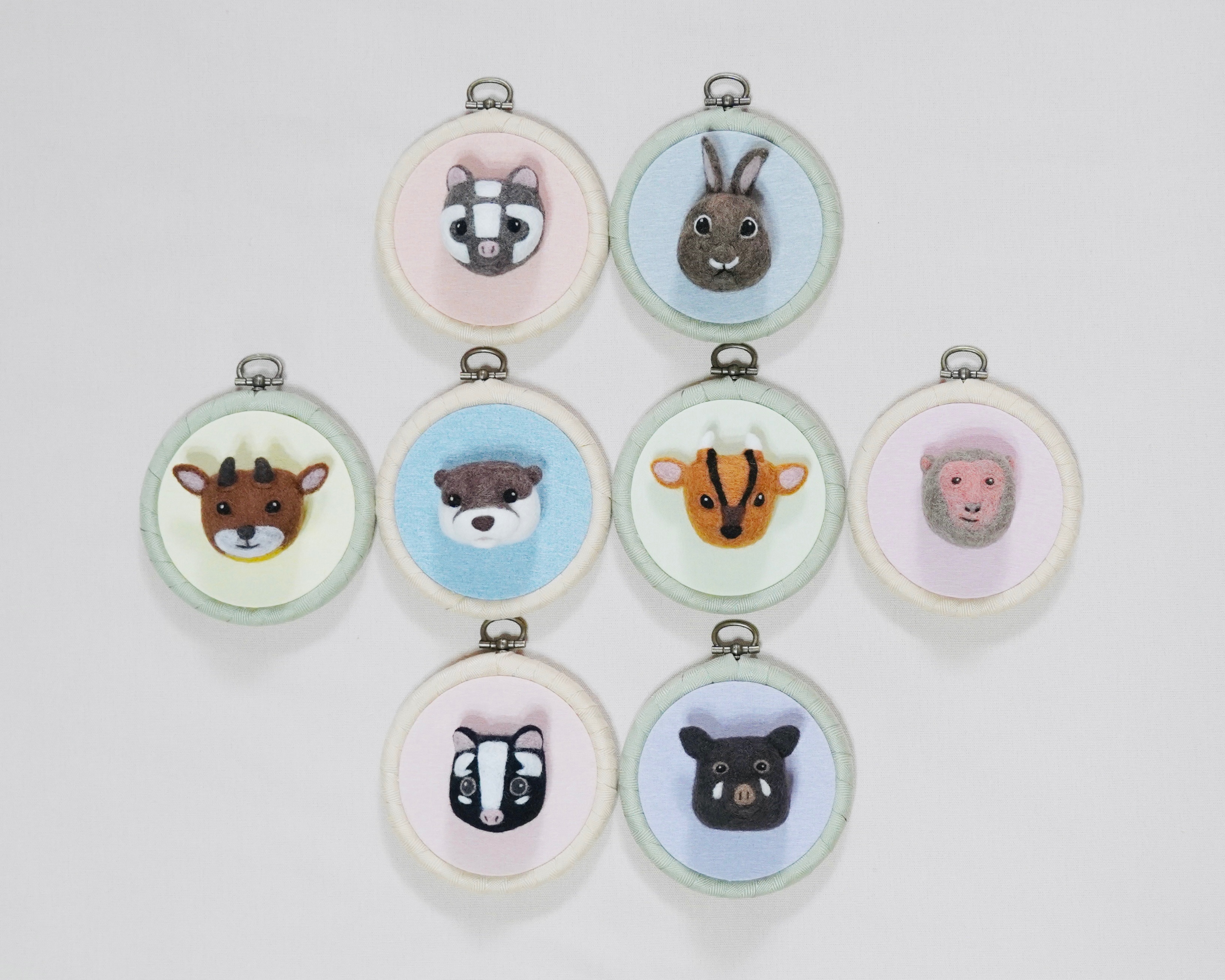 哺乳動物特寫肖像集