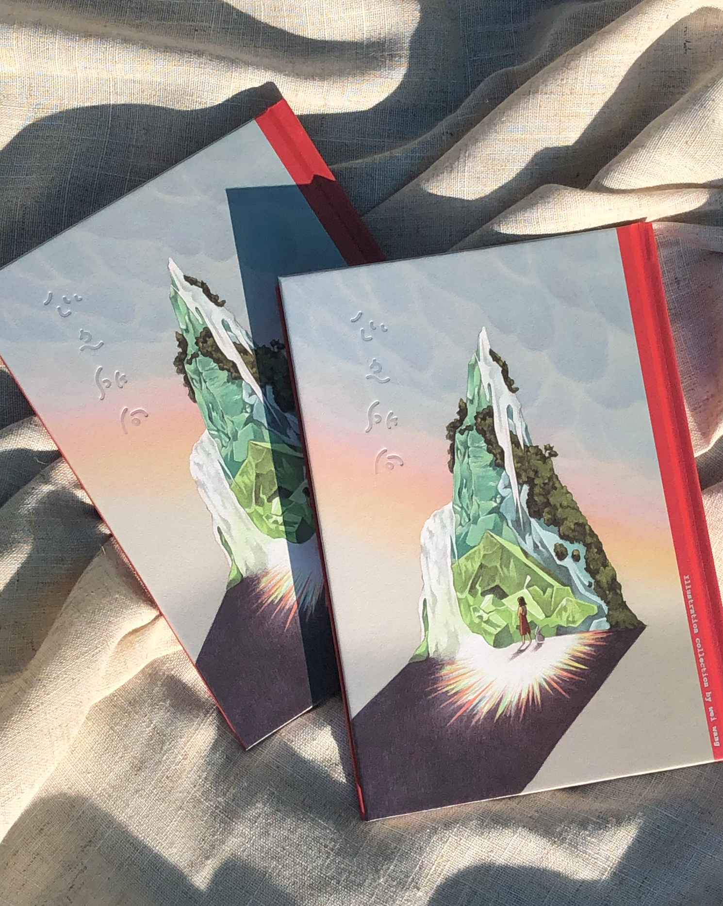 ꒰ 心之所向 ꒱ 王葳畫冊